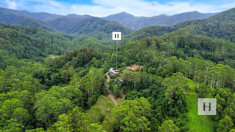 426 Mount Coxcombe Road, Upper Lansdowne, NSW 2430, Upper Lansdowne - Thumbnail 3
