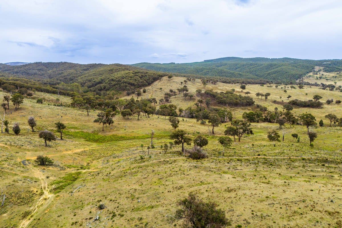 678 Dry Creek Road, LEWIS PONDS NSW 2800, Lewis Ponds - Image 1