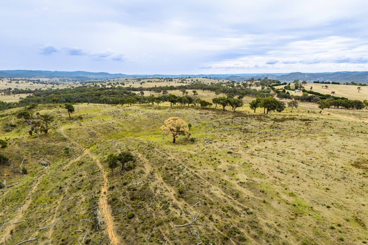 678 Dry Creek Road, LEWIS PONDS NSW 2800, Lewis Ponds - Thumbnail 3