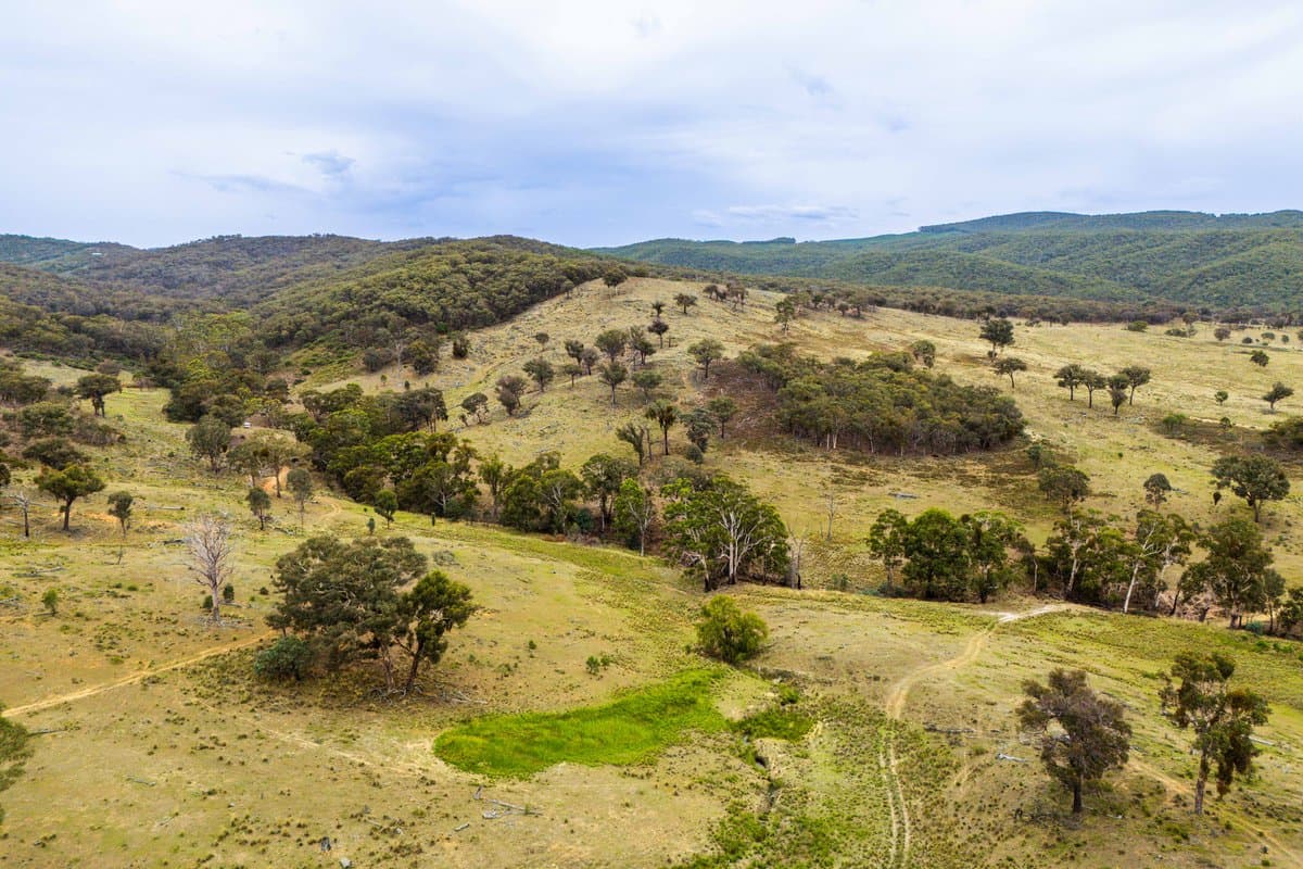 678 Dry Creek Road, LEWIS PONDS NSW 2800, Lewis Ponds - Thumbnail 4