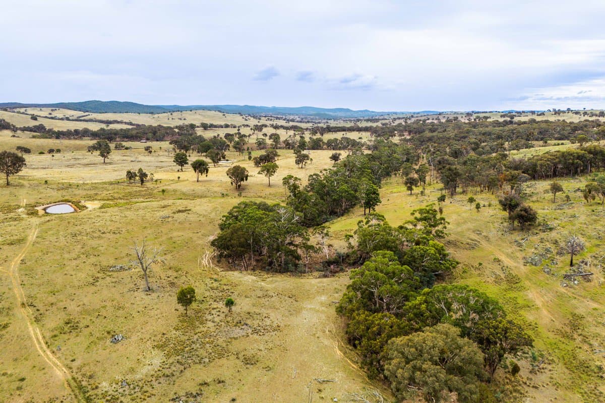 678 Dry Creek Road, LEWIS PONDS NSW 2800, Lewis Ponds - Thumbnail 8