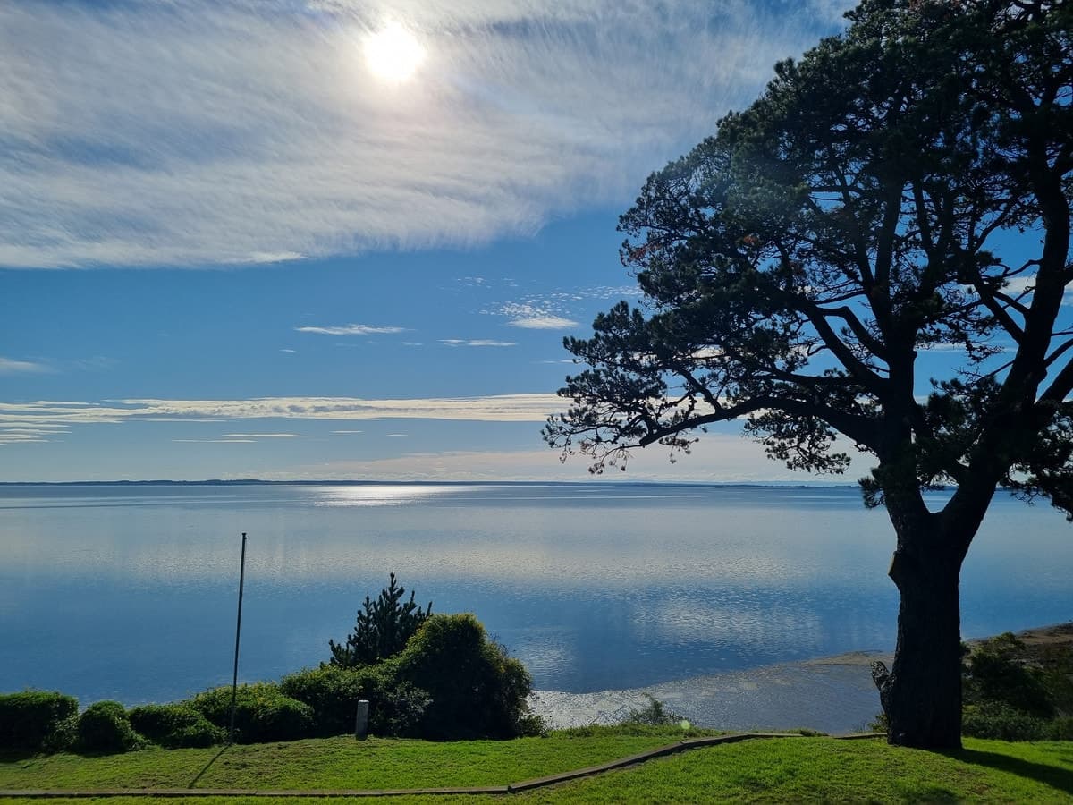 1/38 Phillip Island Road, San Remo, San Remo - Thumbnail 4