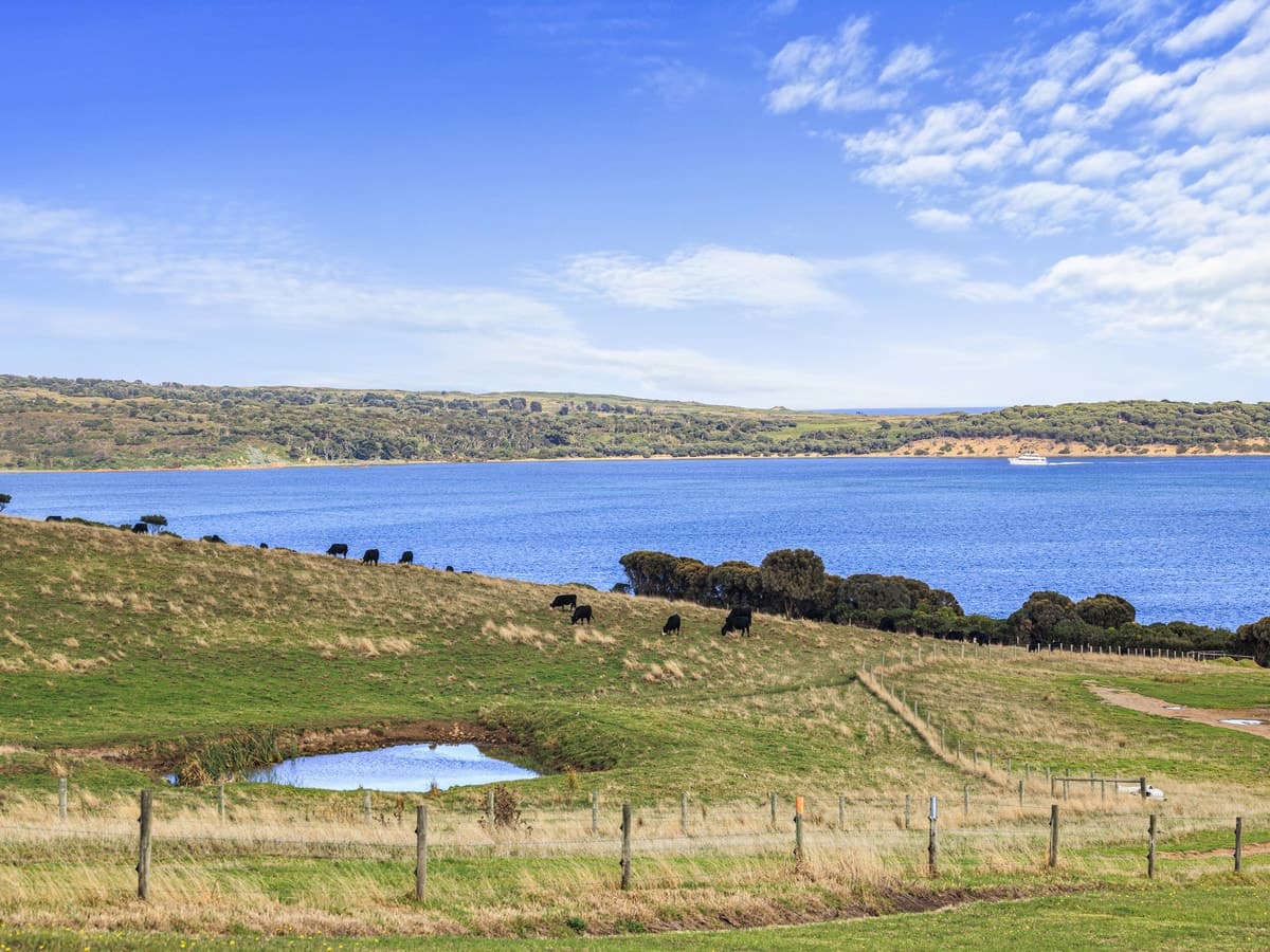 13 Earlshall Drive, San Remo, San Remo - Thumbnail 5