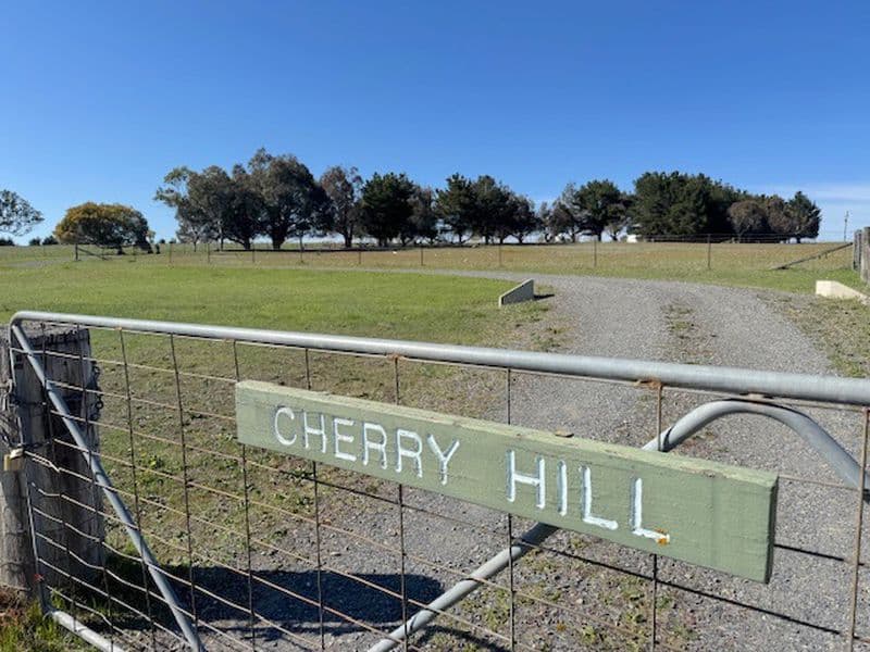 1695 Gurrundah Road, Parkesbourne, Parkesbourne - Thumbnail 2