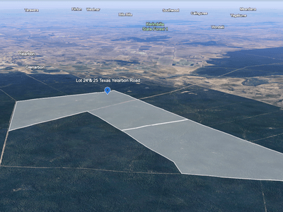 6,029 ACRES OF PRIME LAND!, L24 - L25 Texas Yelarbon Road - Image 1