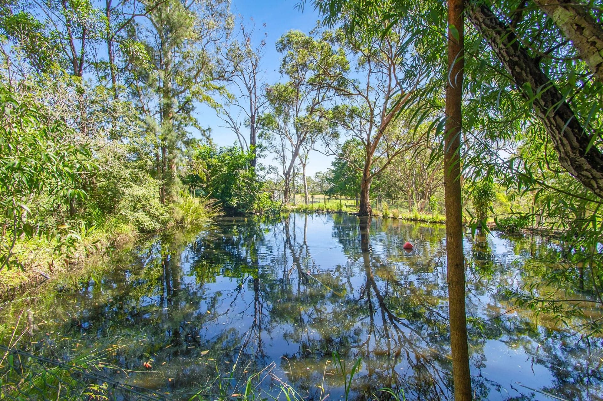 4911 Old Northern Road, Maroota, Maroota - Thumbnail 2