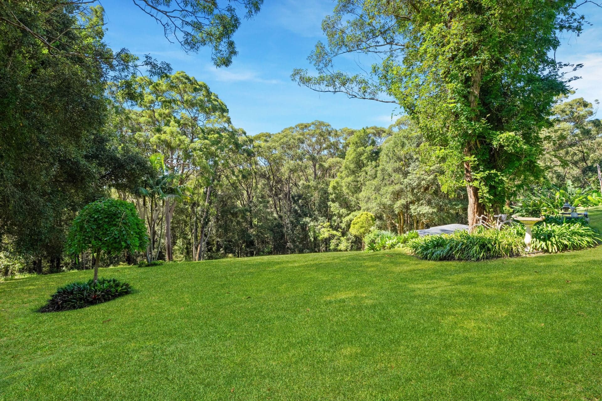 16 Fern Road, Ourimbah NSW, Ourimbah - Image 1