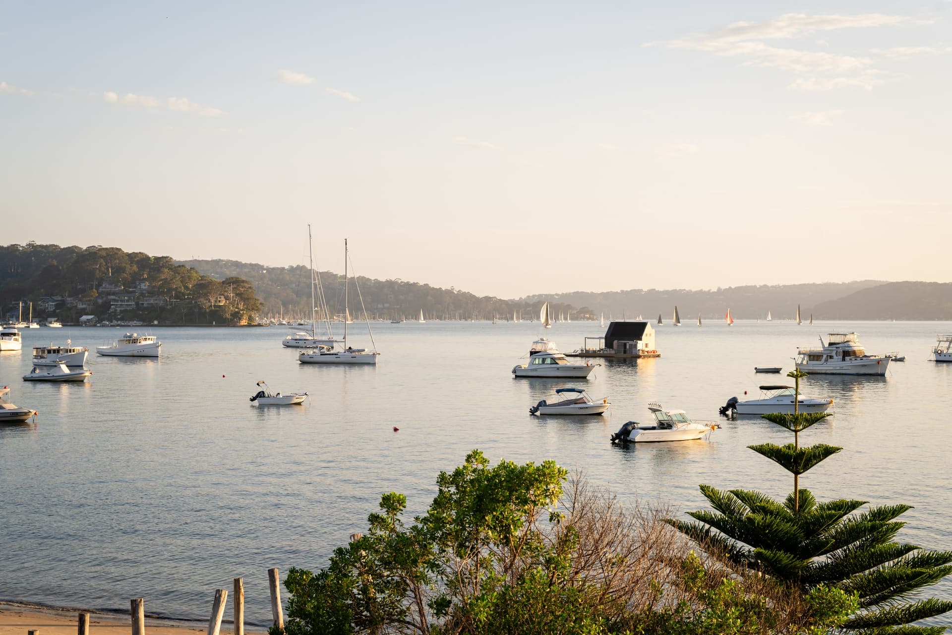 42 Iluka Road, Palm Beach, Palm Beach - Thumbnail 5