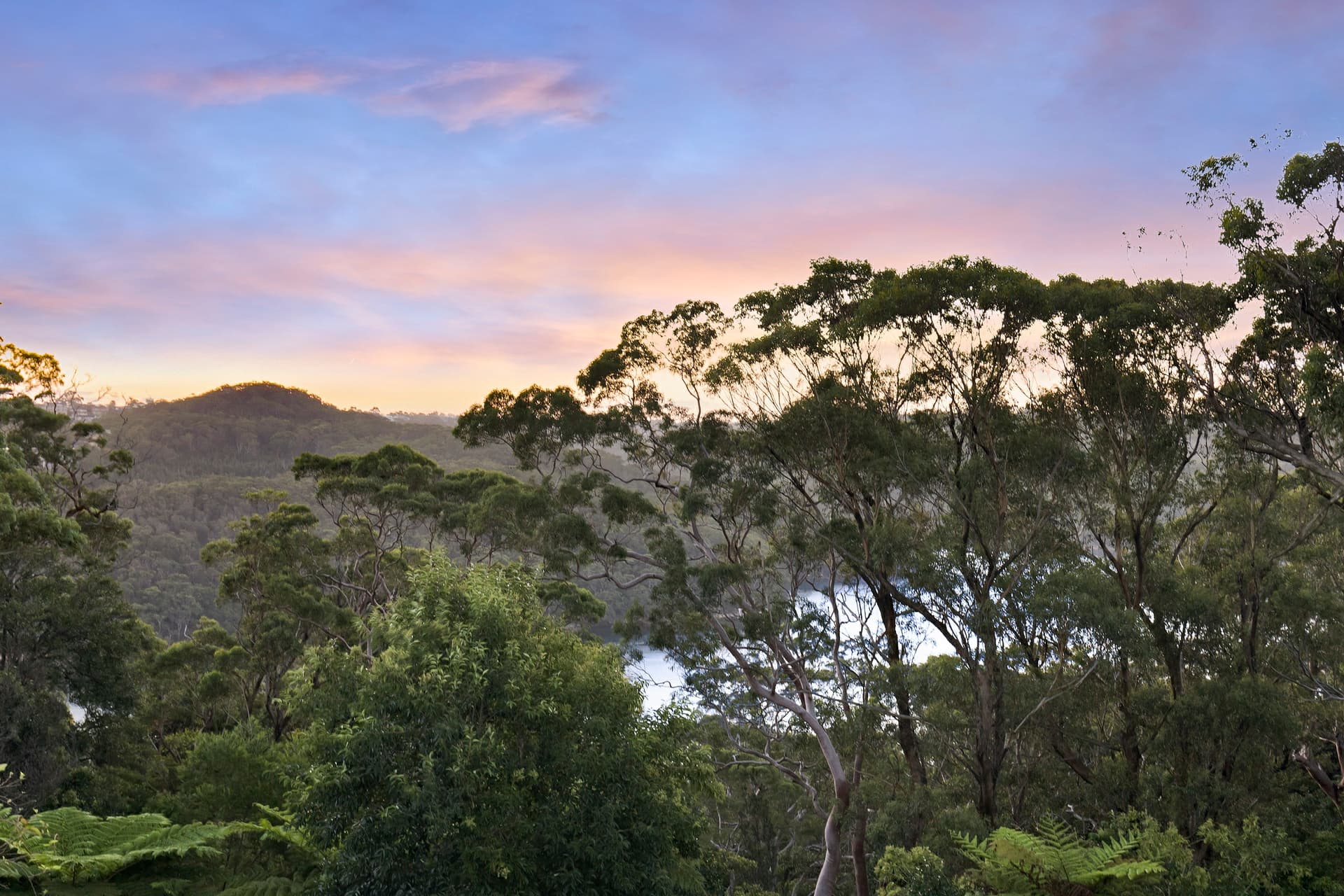 12 Boronia Lane, Seaforth, Seaforth - Thumbnail 2