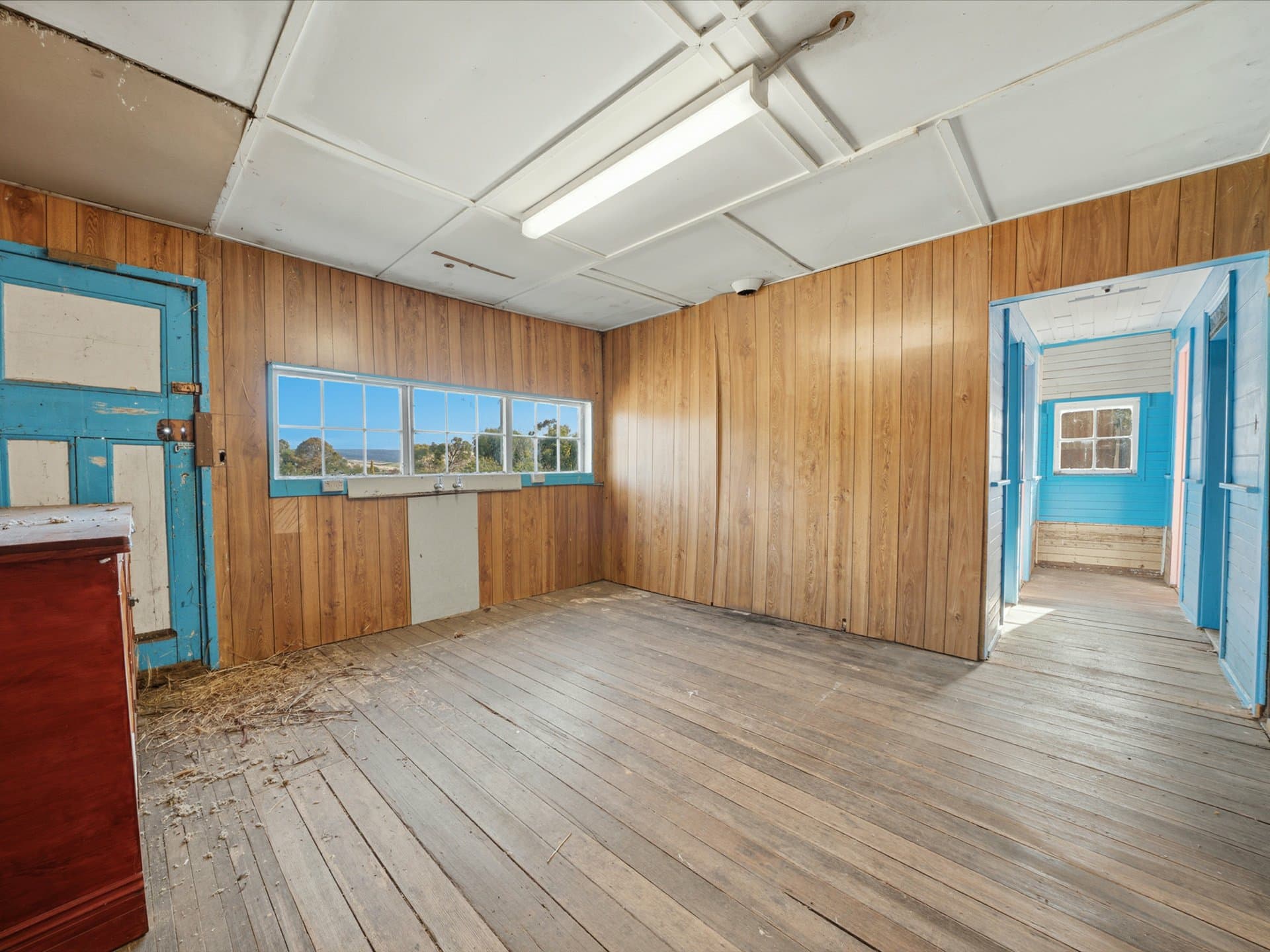 1 Grace Street, Hamilton, Hamilton - Thumbnail 6