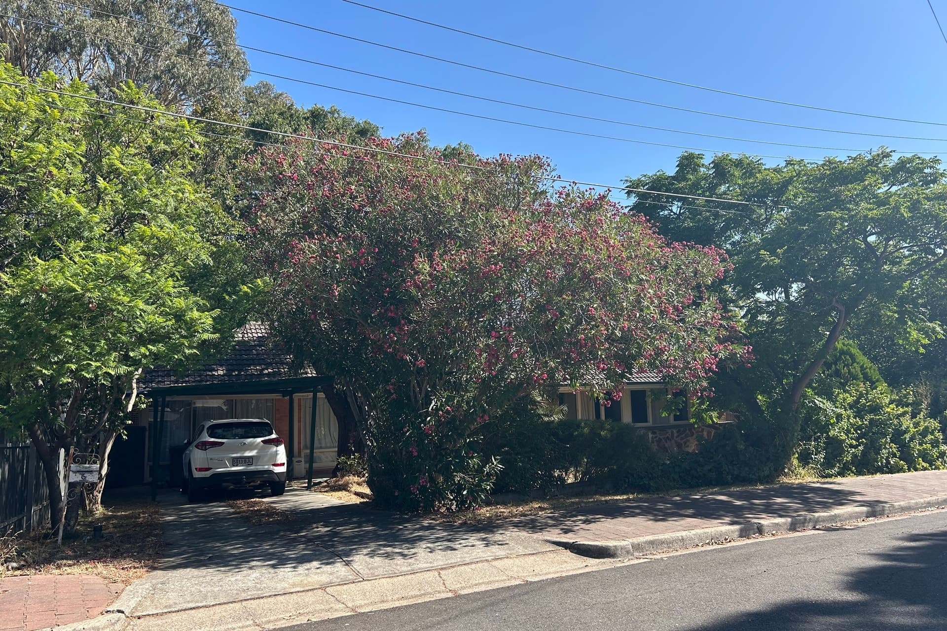 6 Clarence Drive, Athelstone - Image 1