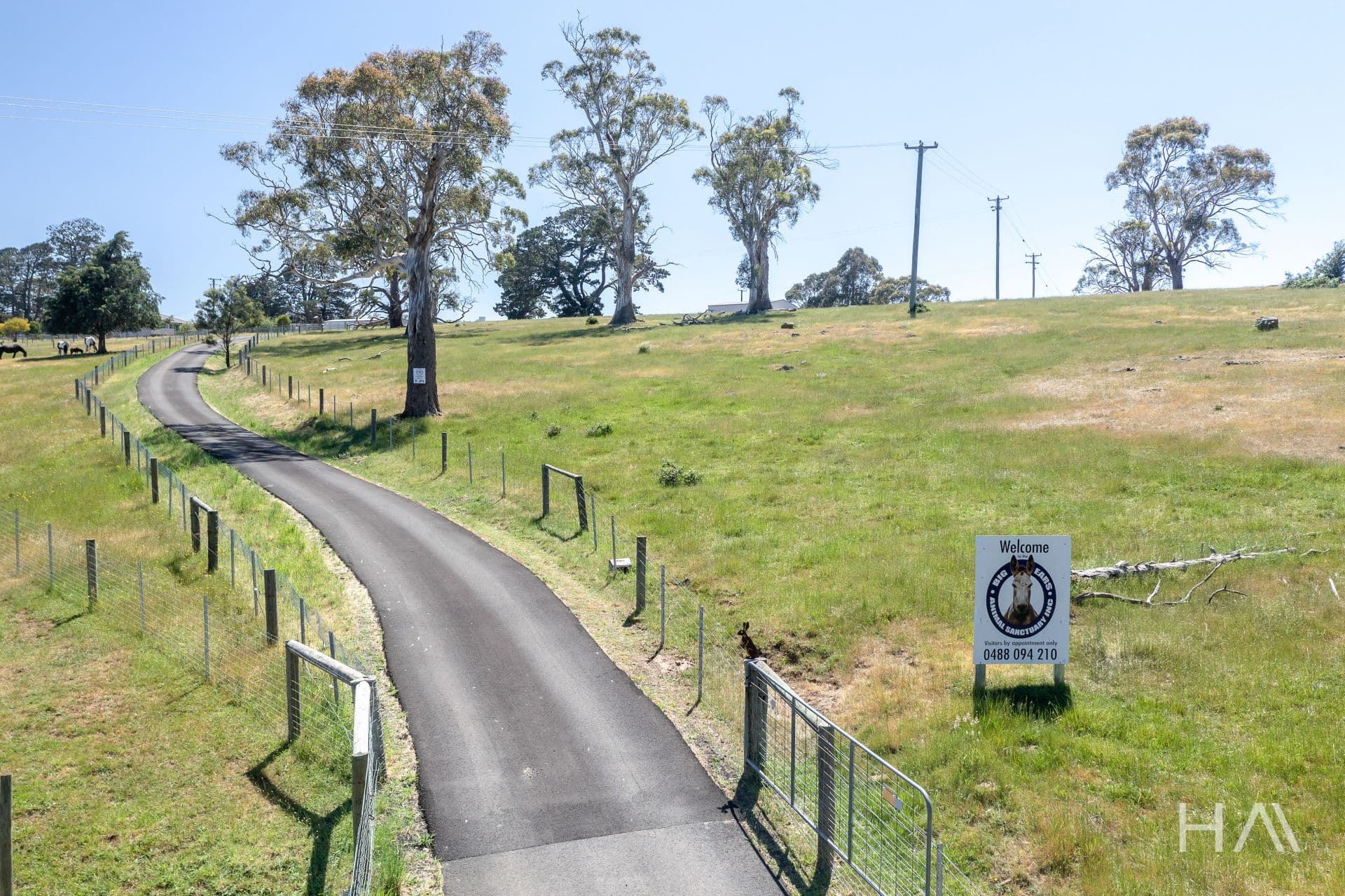 31 Norwich Drive Longford, Longford - Thumbnail 4
