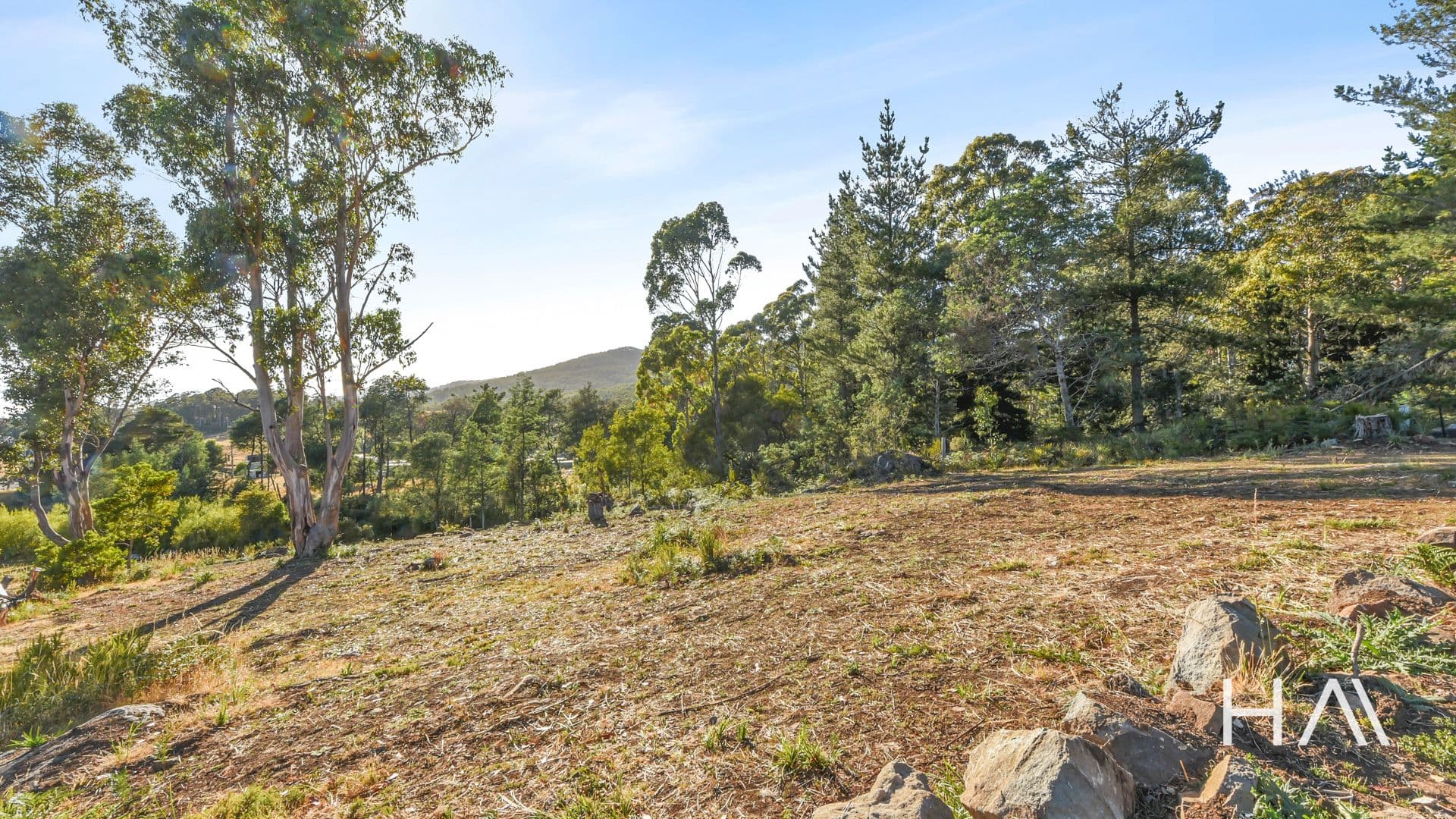 39387 Tasman Highway Nunamara, Nunamara - Thumbnail 5