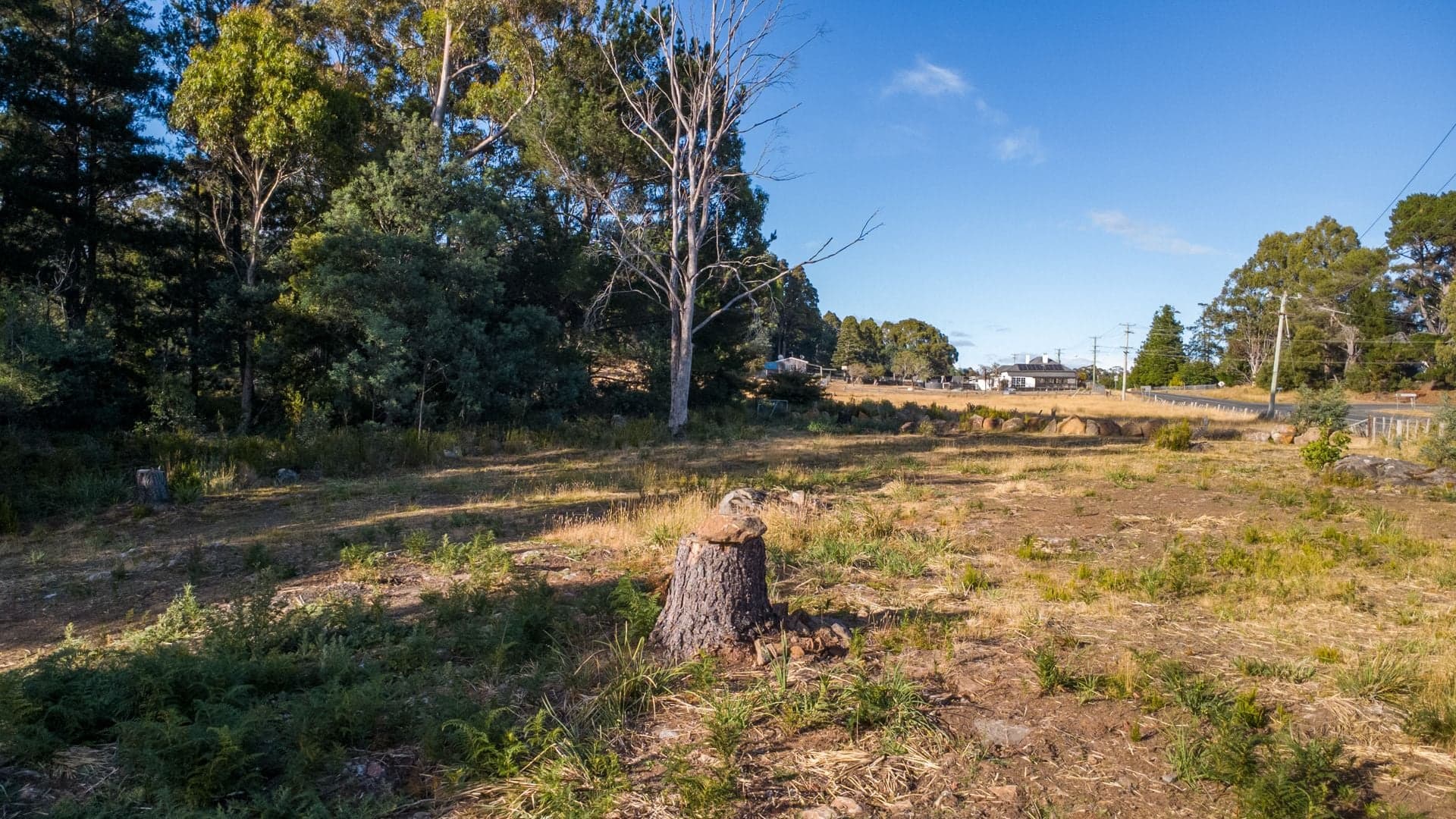 39387 Tasman Highway Nunamara, Nunamara - Thumbnail 6