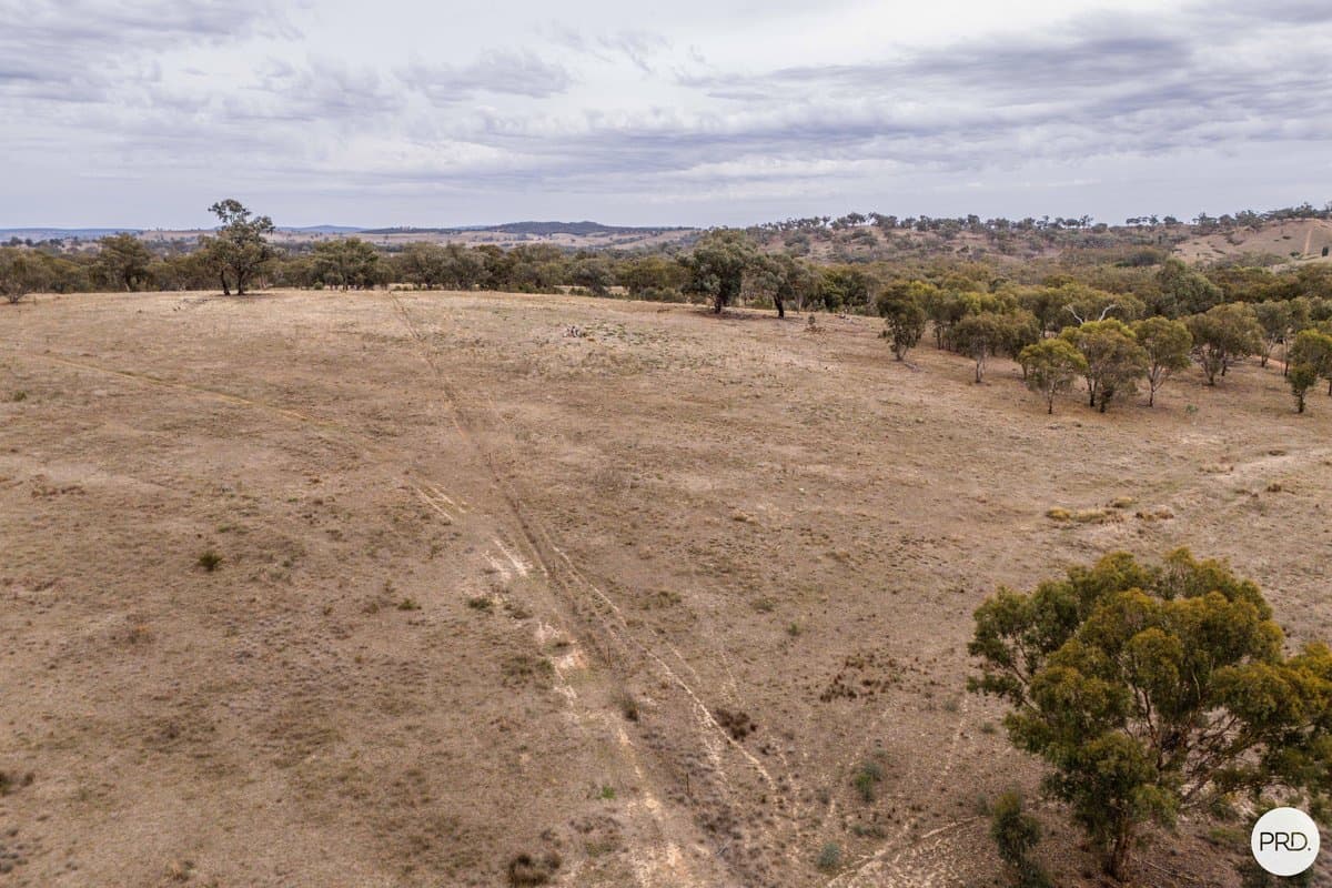 170 Farnham Road, STUART TOWN NSW 2820, Stuart Town - Thumbnail 6