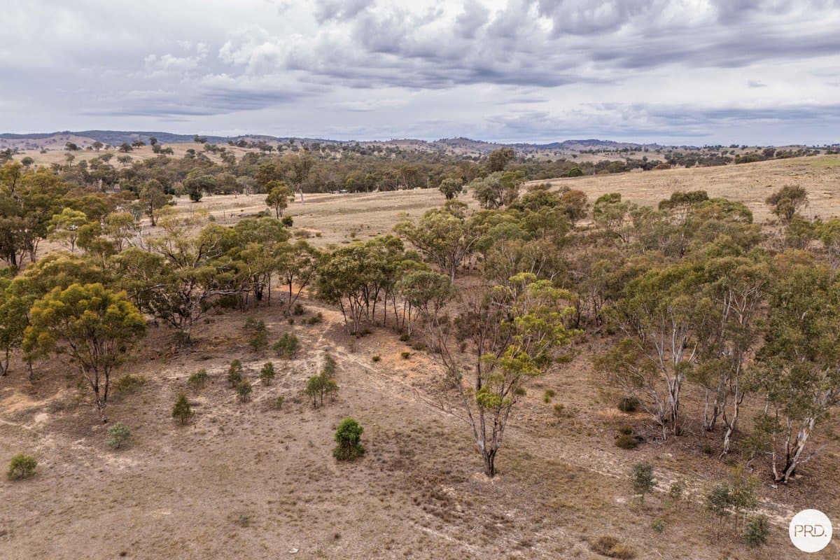 170 Farnham Road, STUART TOWN NSW 2820, Stuart Town - Thumbnail 7
