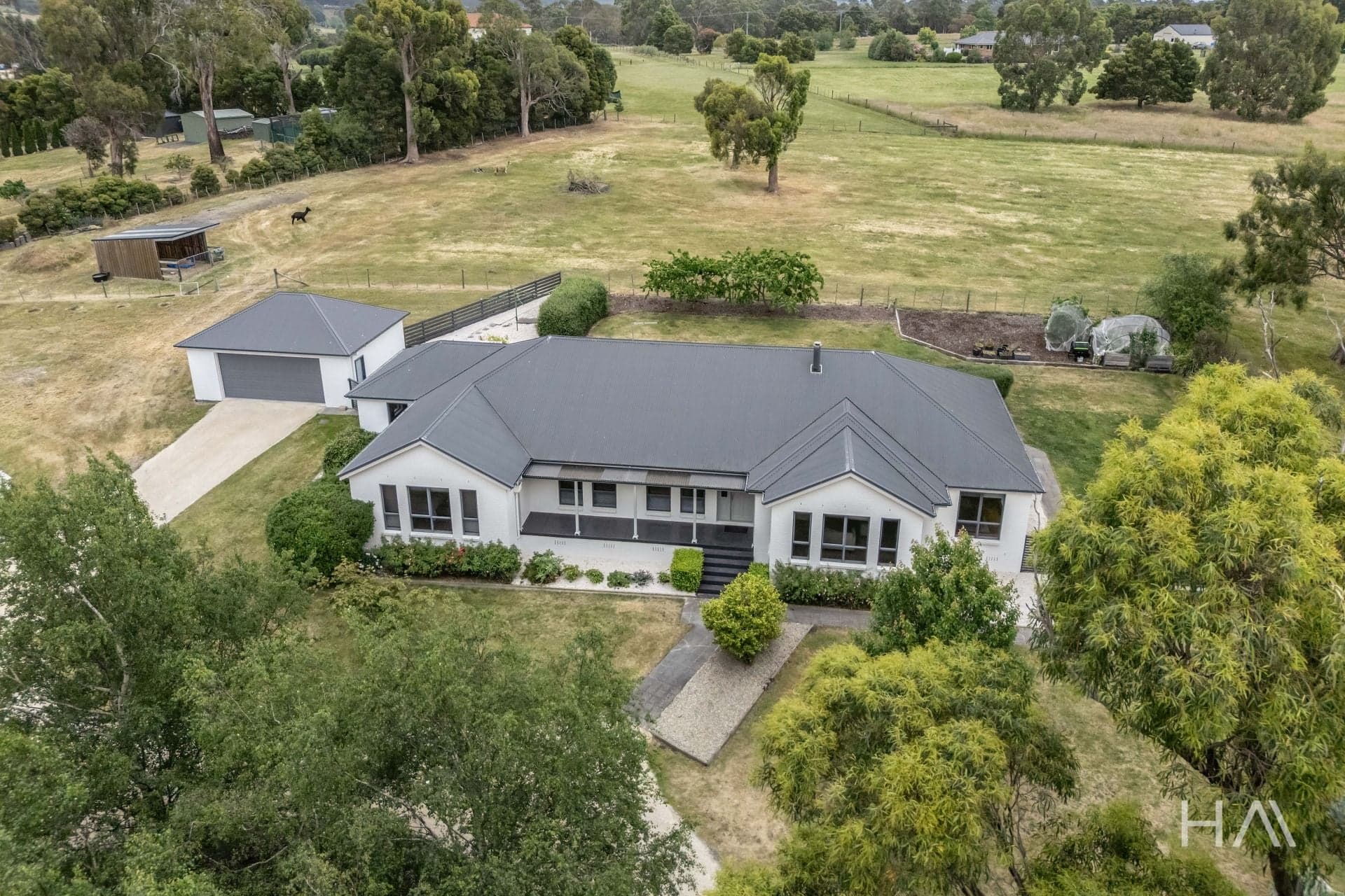 29 Caledonia Drive Relbia, Relbia - Thumbnail 4
