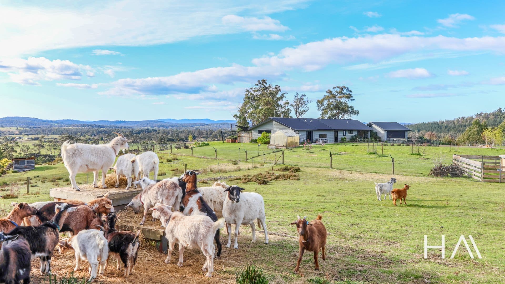 128 Long Plains Road Exeter, Exeter - Thumbnail 7