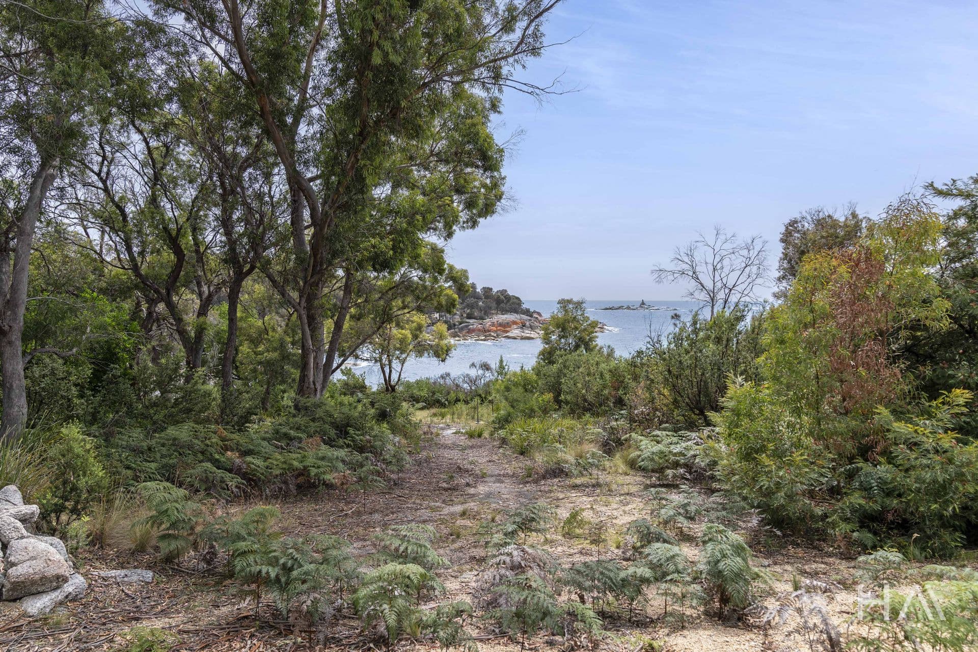 15 Seaton Cove Road Binalong Bay, Binalong Bay - Thumbnail 5