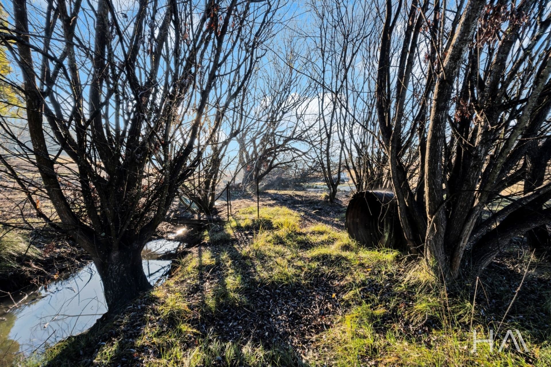 1 - 4/159 Meander Valley Road Prospect Vale, Prospect Vale - Thumbnail 6
