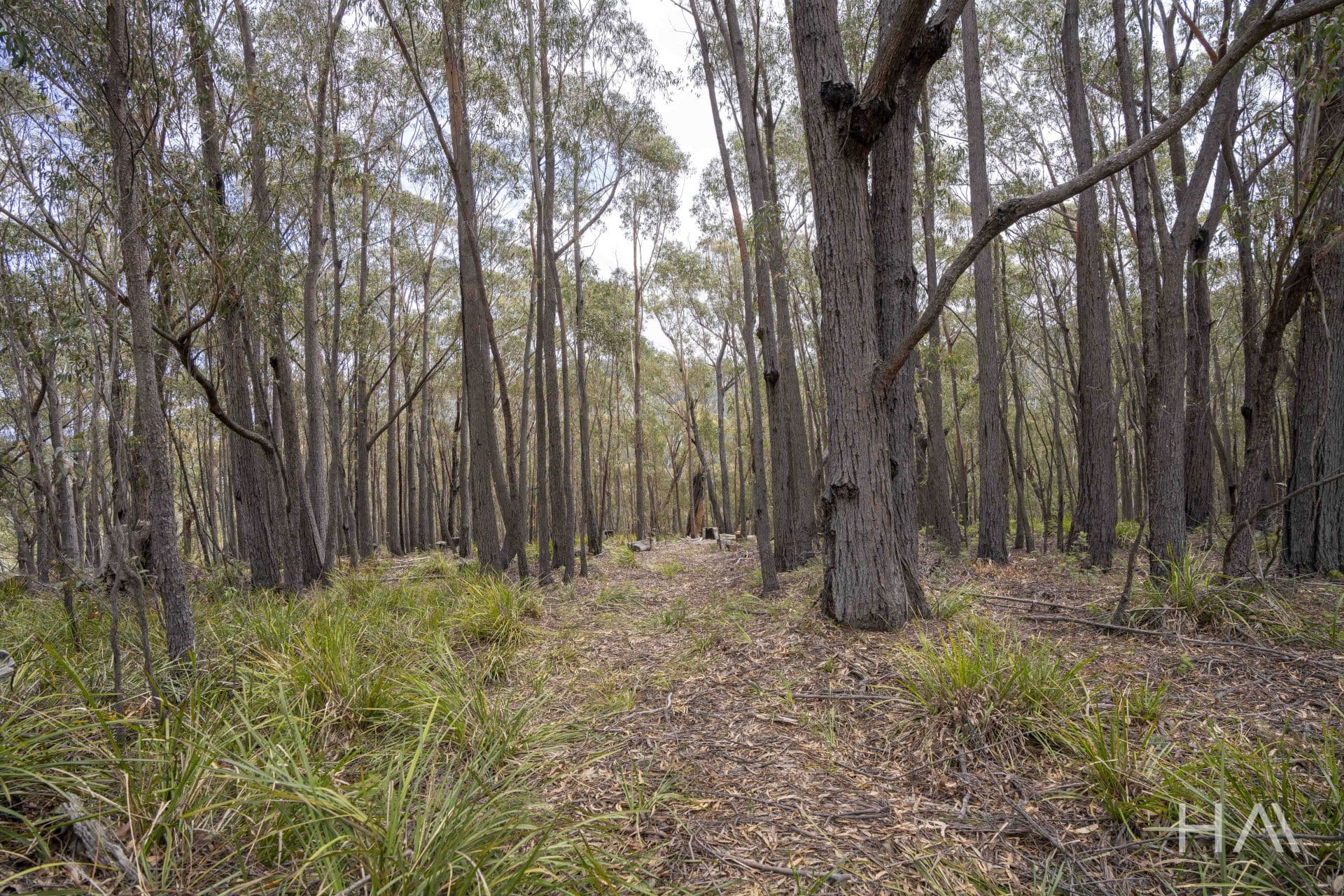 301 Gardiners Creek Road St Marys, St Marys - Image 1