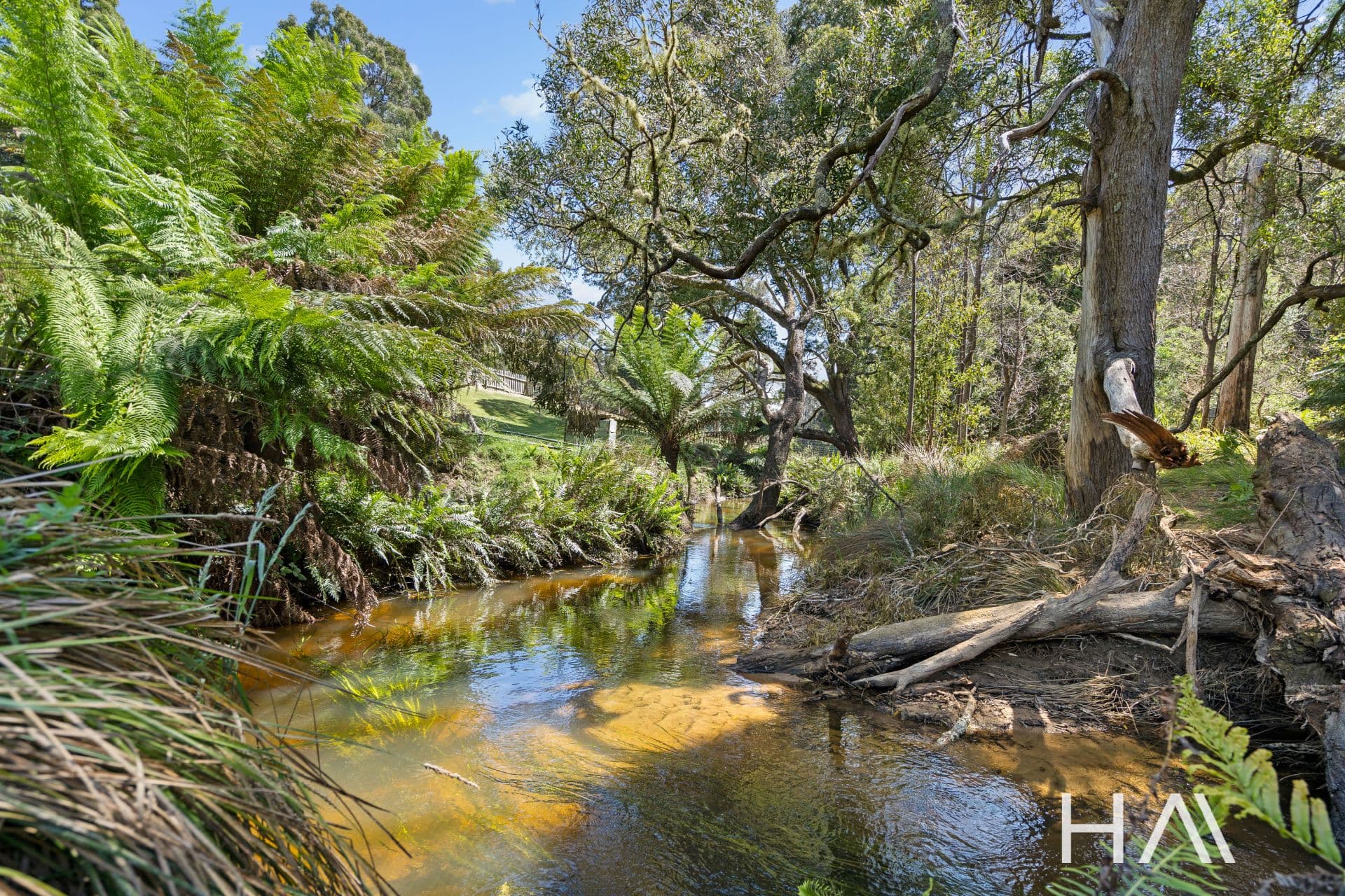 11 Burns Road Wyena, Wyena - Thumbnail 5