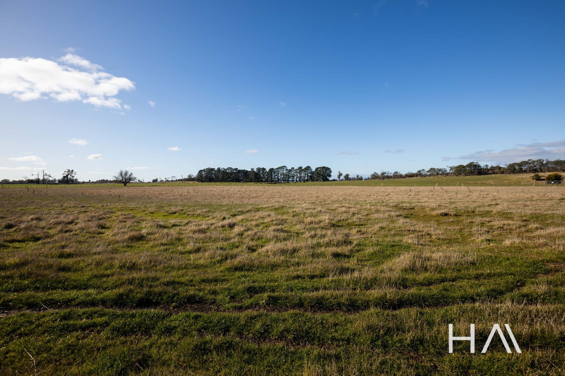 Lots 10-26 Gatenby Drive Westbury, Westbury - Thumbnail 5