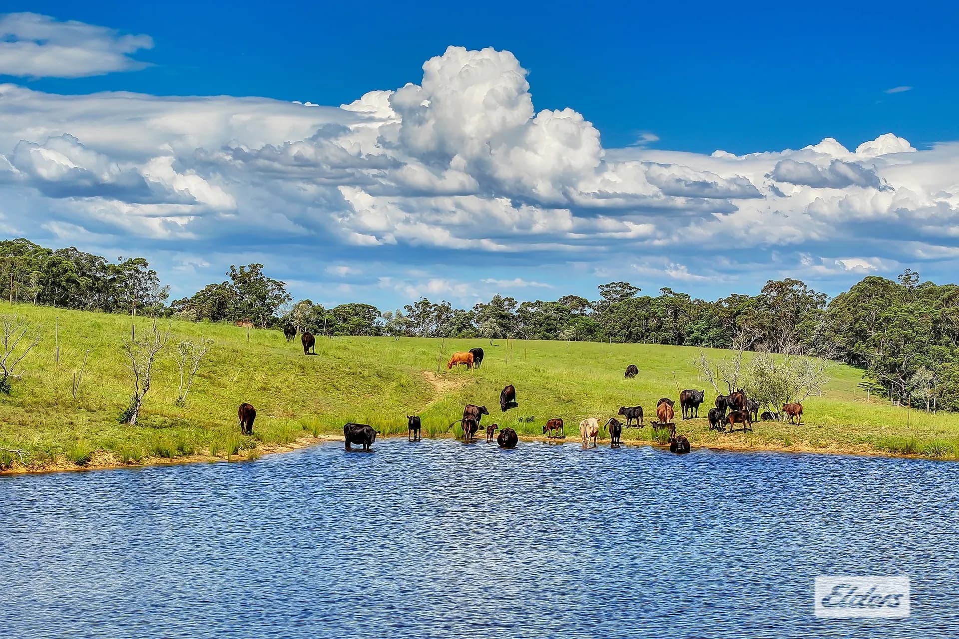 1510 George Downes Drive, Kulnura, NSW, 2250, Kulnura - Thumbnail 5