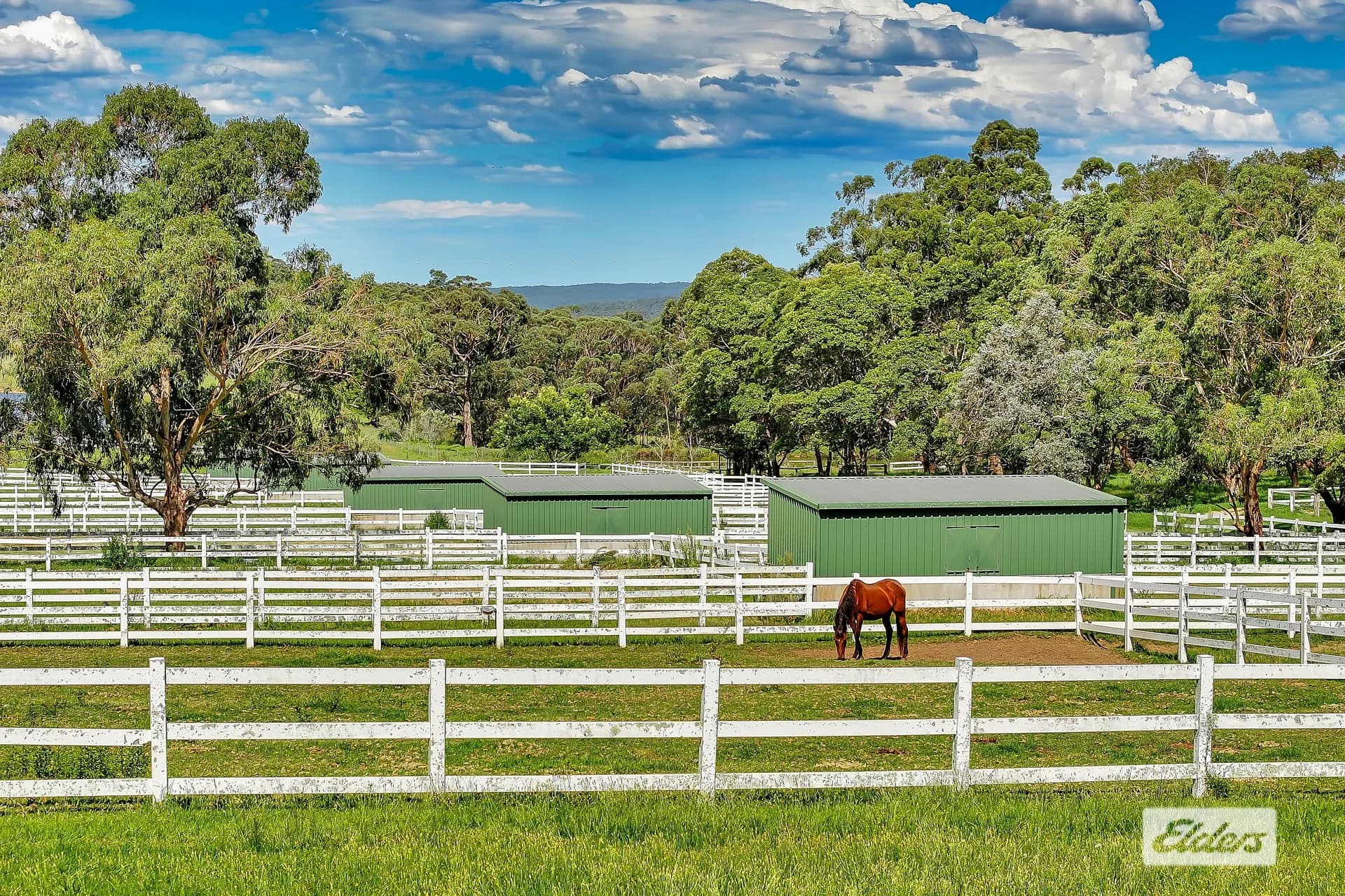 1510 George Downes Drive, Kulnura, NSW, 2250, Kulnura - Thumbnail 6