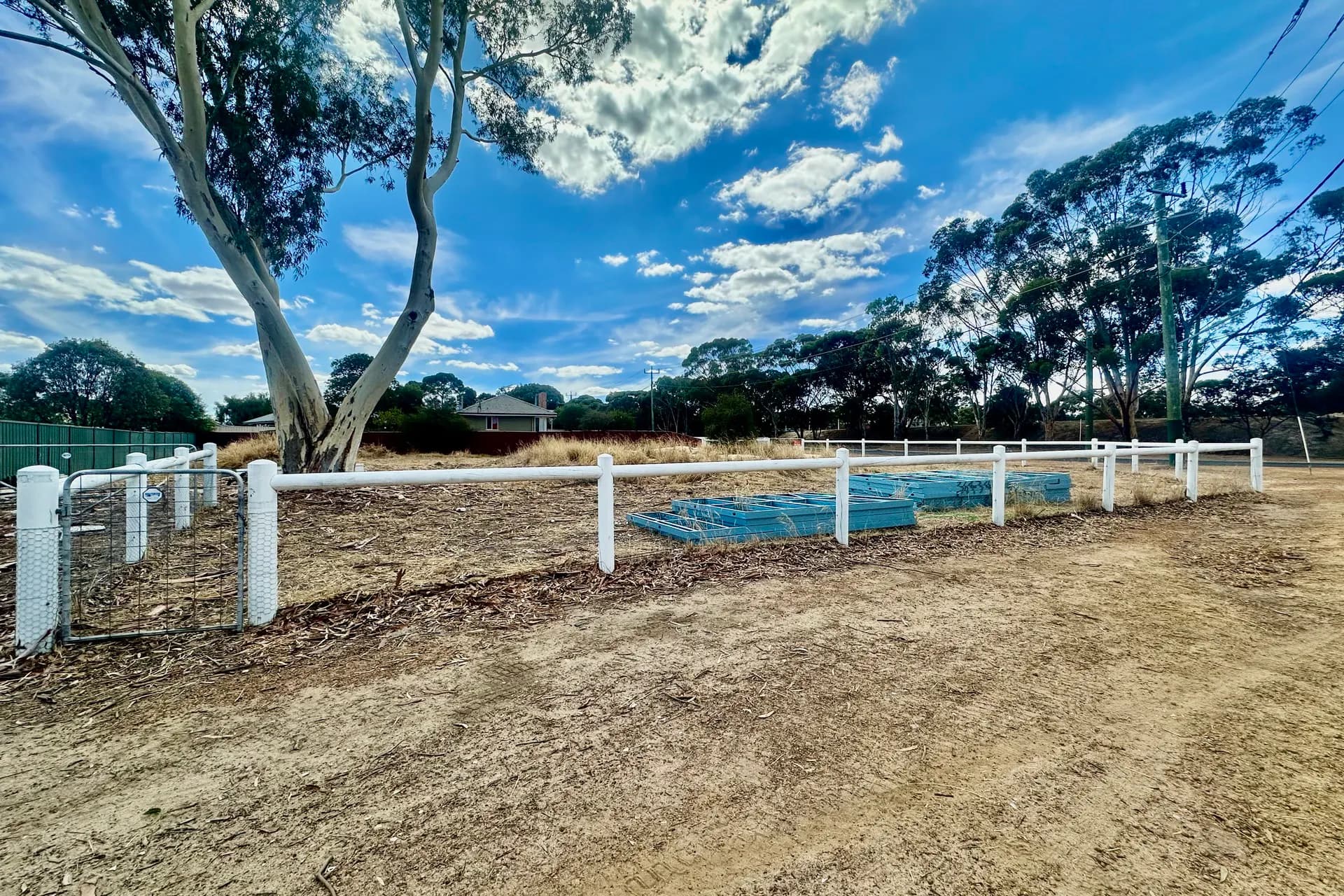 25 Round Drive, Katanning, WA, 6317, Katanning - Thumbnail 2