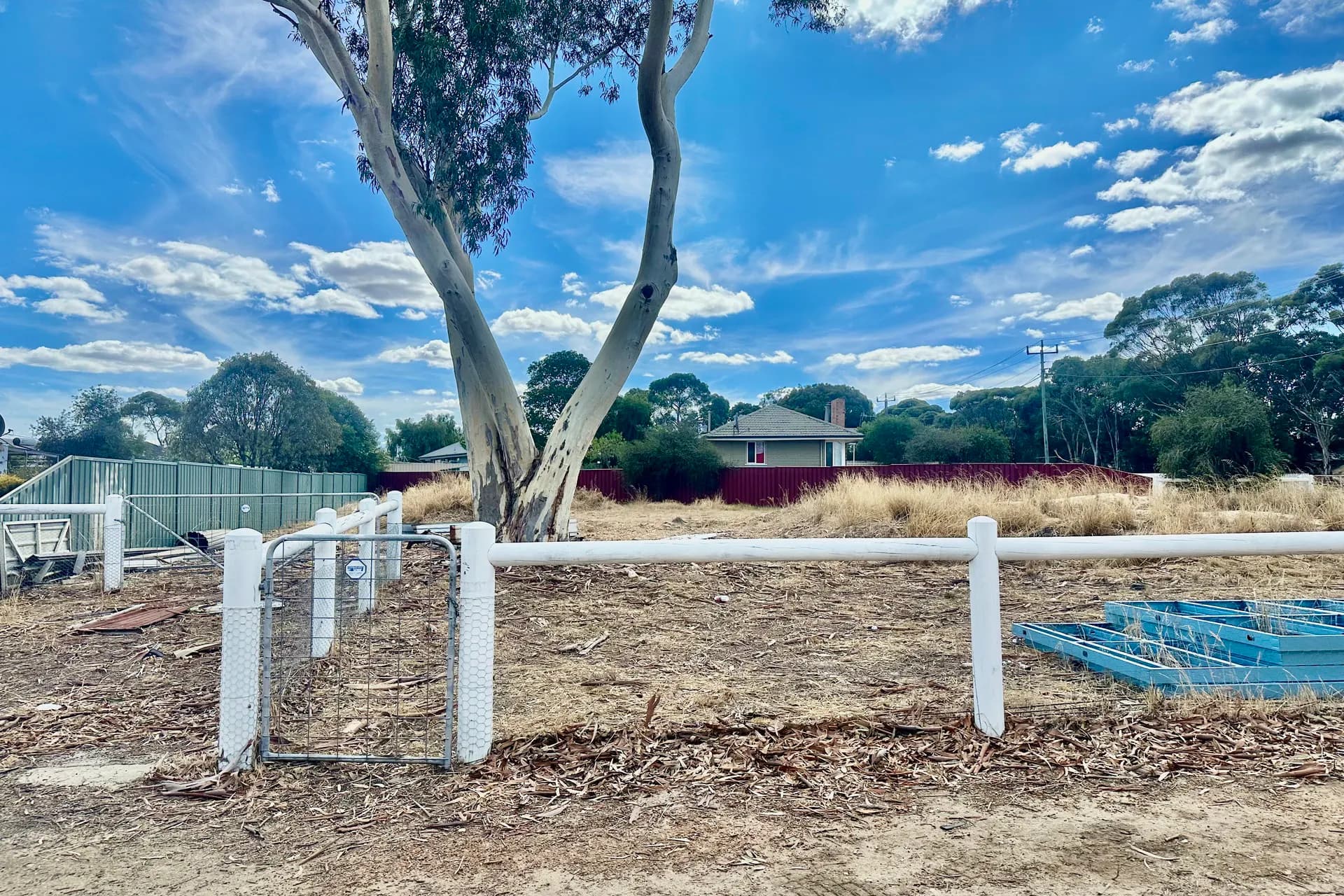 25 Round Drive, Katanning, WA, 6317, Katanning - Thumbnail 3