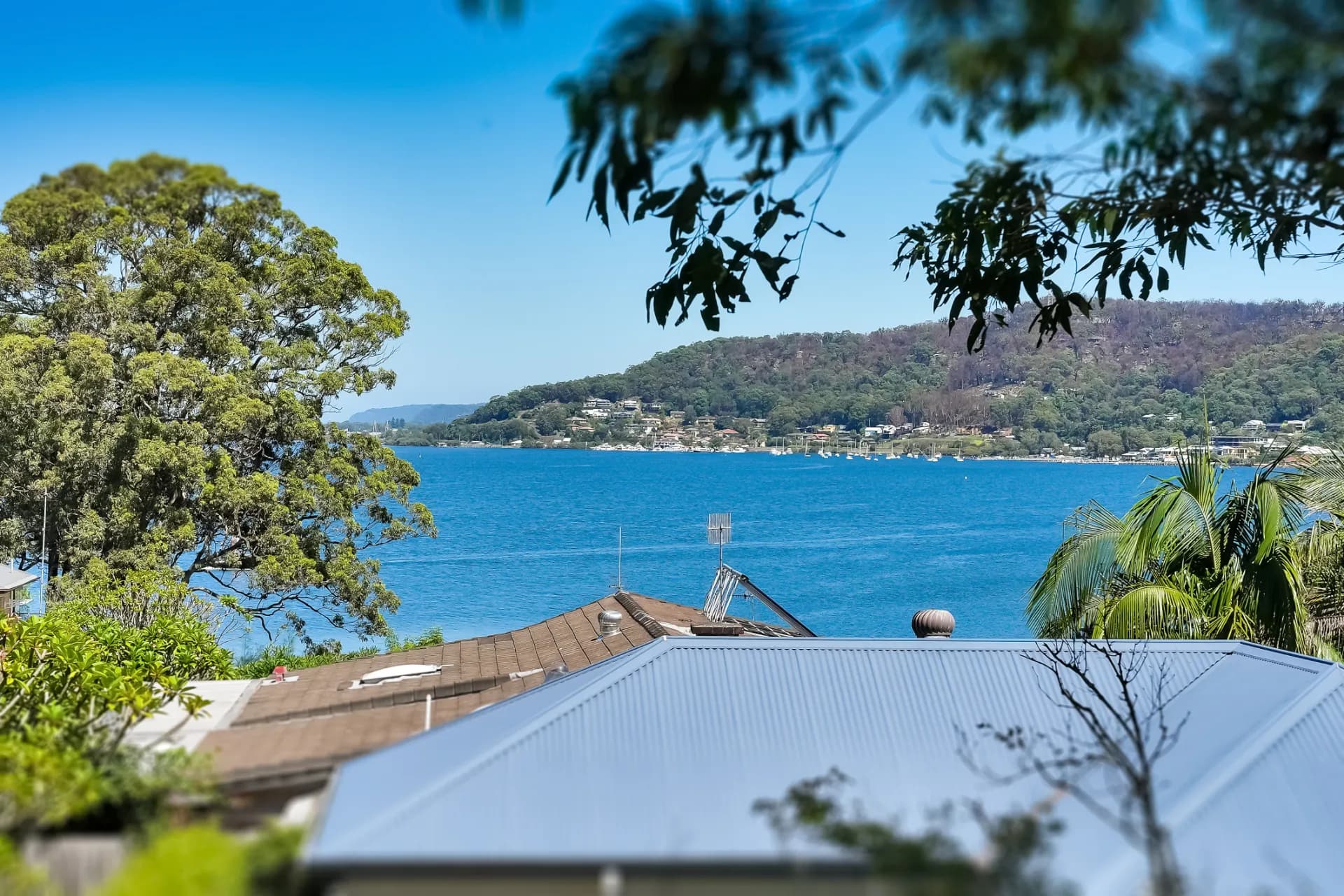 7A Gosford Street, Point Clare, NSW, Point Clare - Thumbnail 3