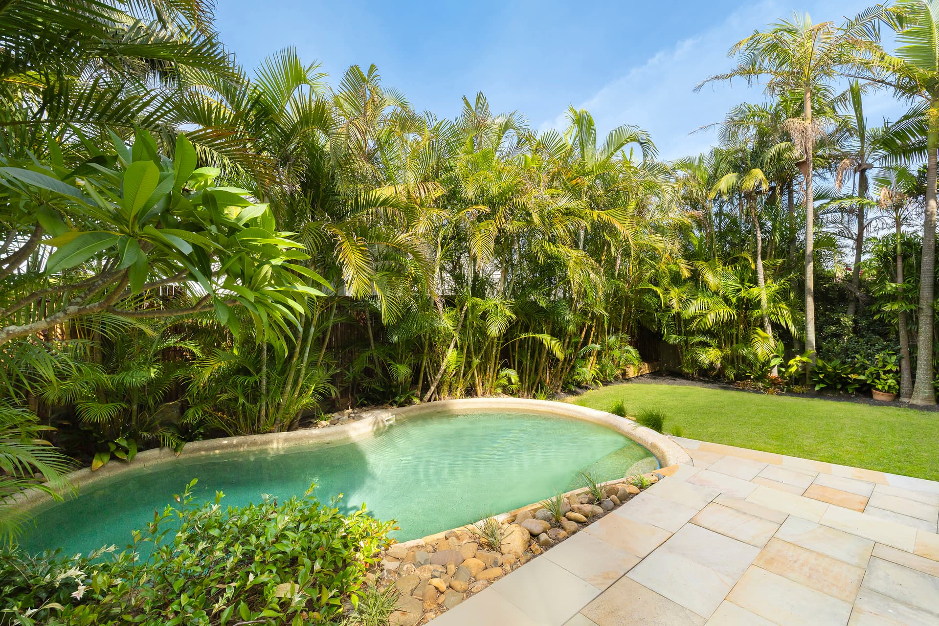 22 Wyndora Avenue, Freshwater - Thumbnail 3
