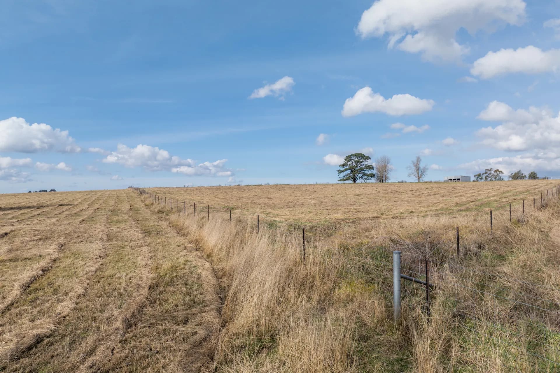 3/5 Aubrey Close, Braidwood - Thumbnail 8