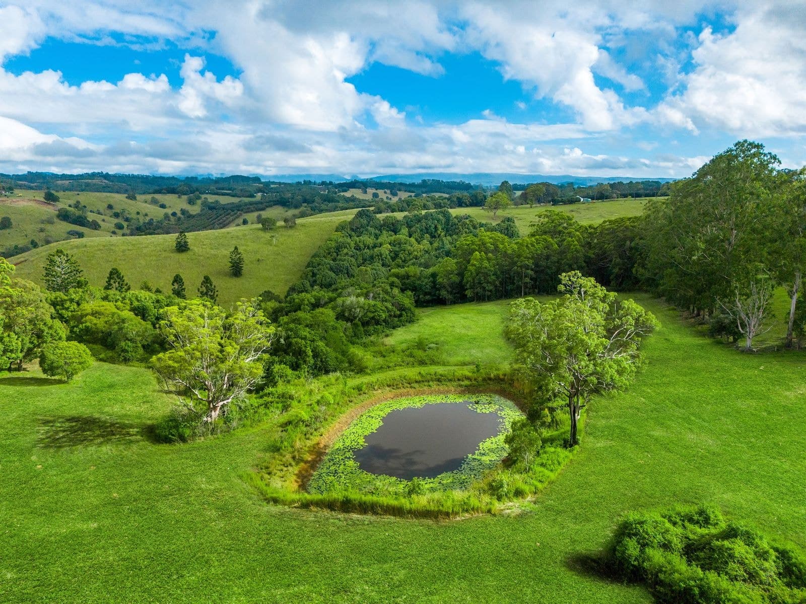 203 Duncan Road, Numulgi - Thumbnail 4