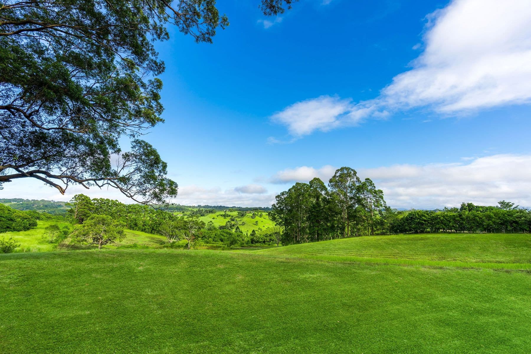 203 Duncan Road, Numulgi - Thumbnail 5