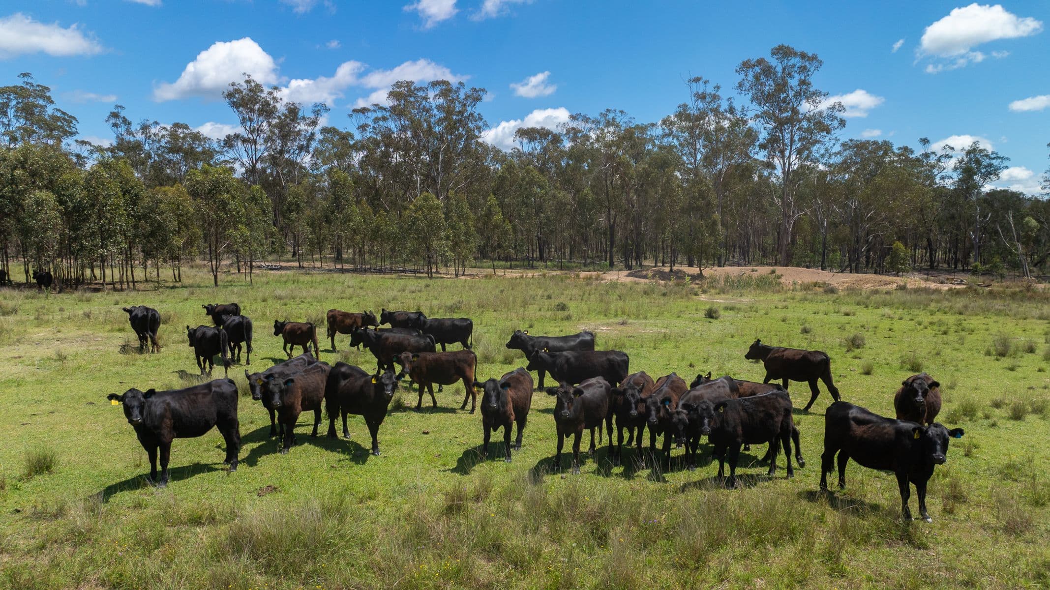 570 Hazeldene Rd, Thanes Creek - Thumbnail 7