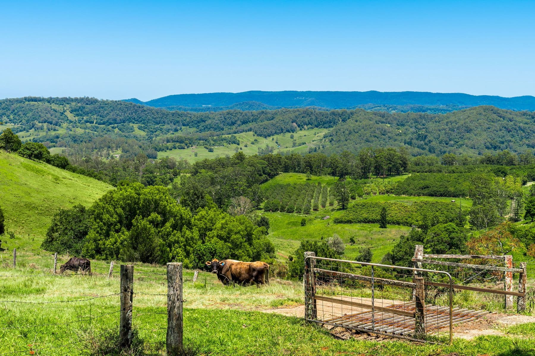 362 Koonorigan Rd, Koonorigan - Thumbnail 5