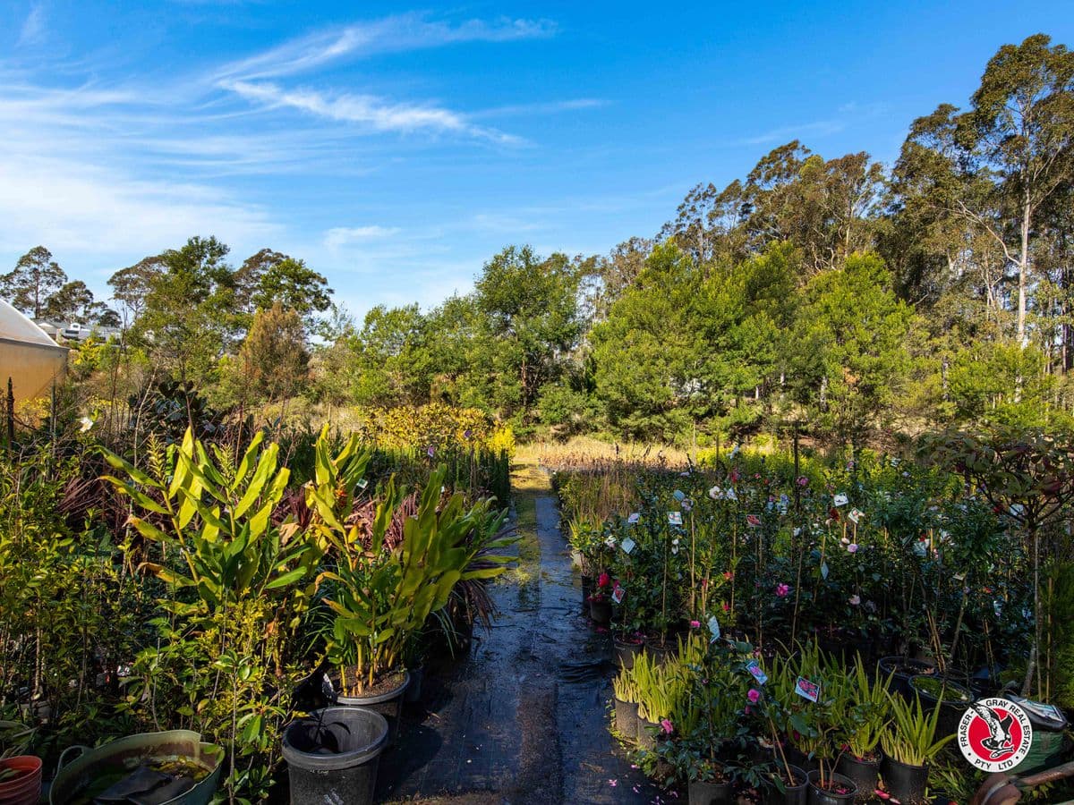 60 Broulee Road, Broulee, Broulee - Thumbnail 8