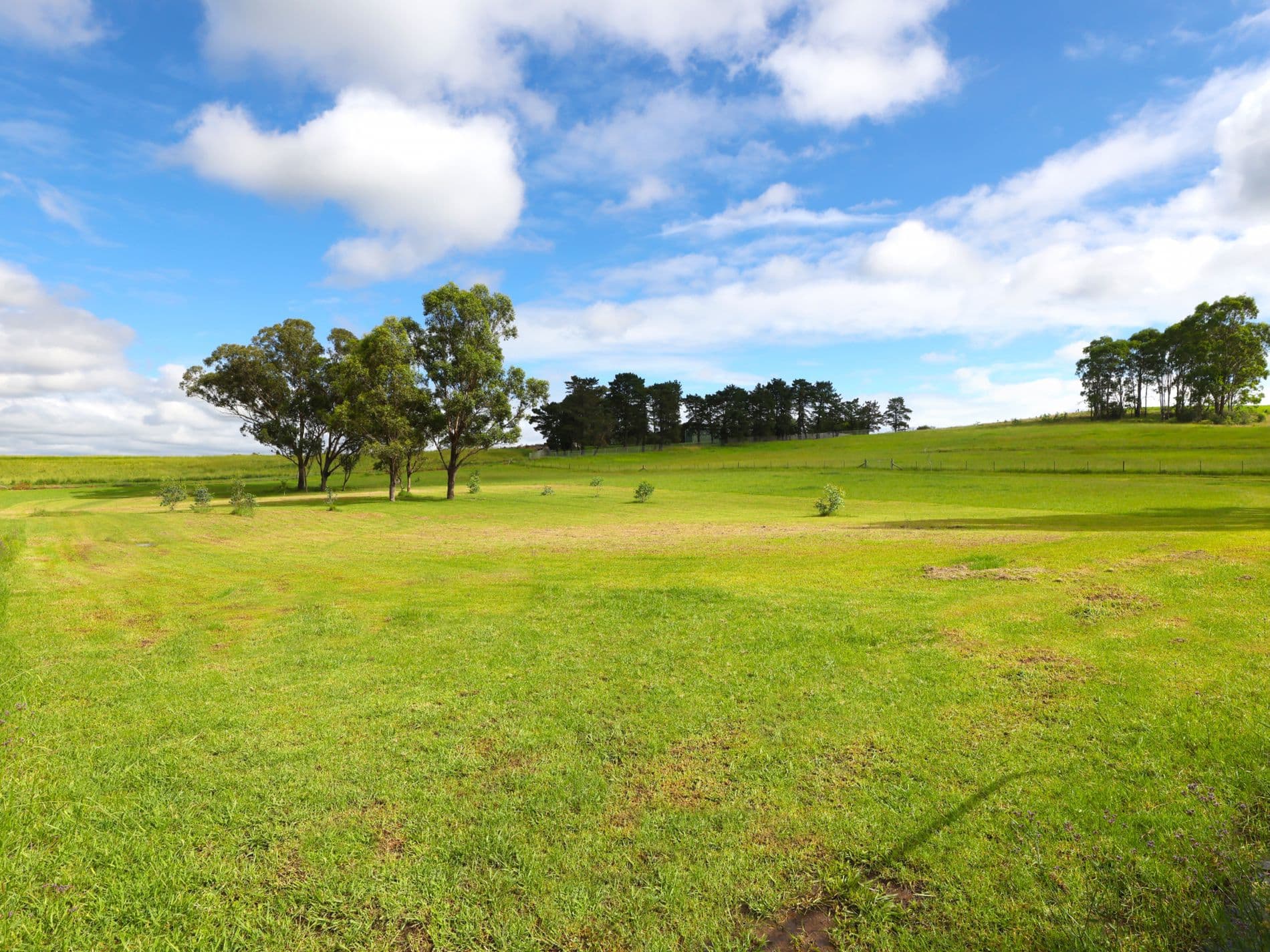 275-283 Wallgrove Road, Horsley, Horsley - Thumbnail 2