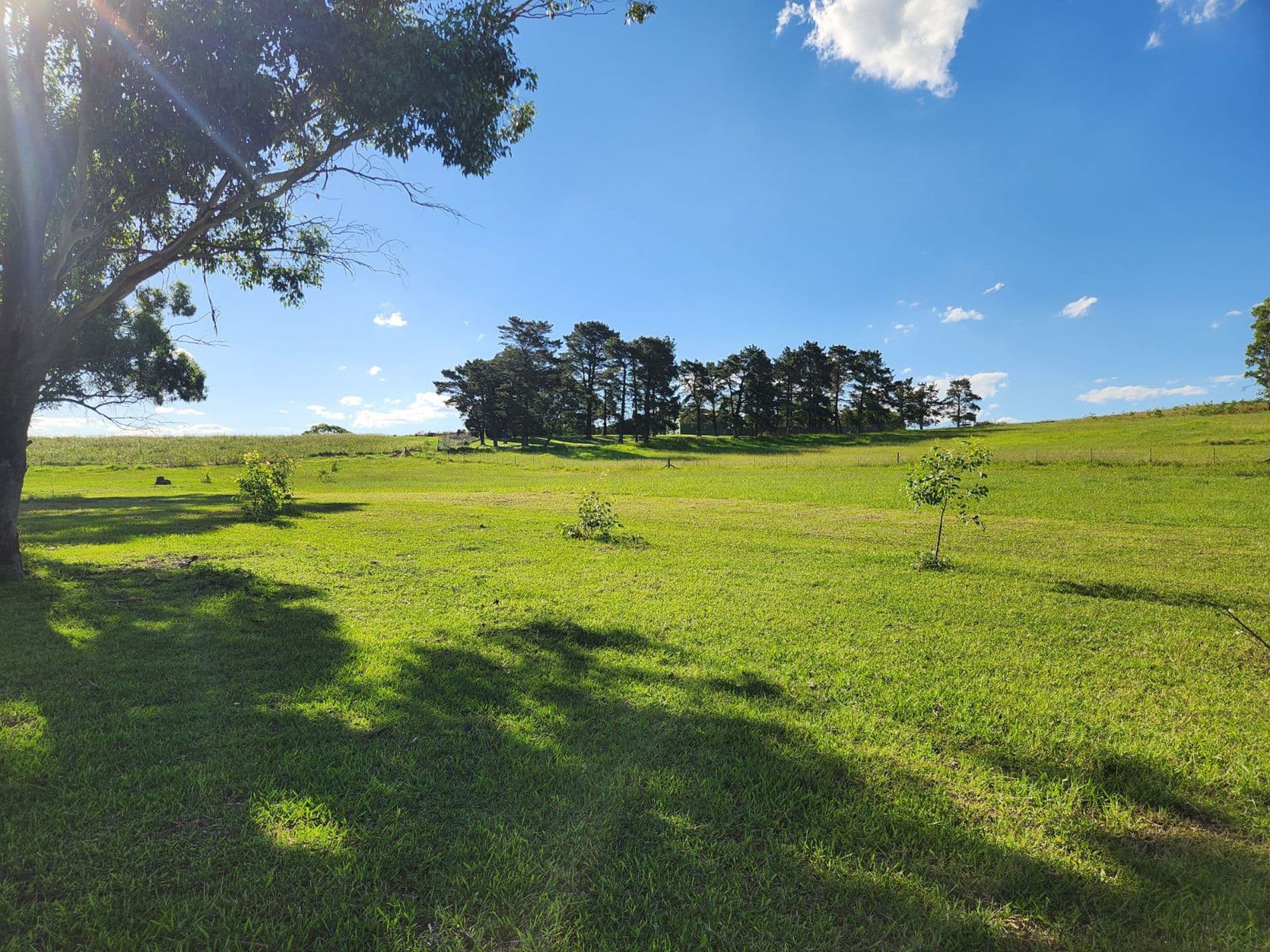 275-283 Wallgrove Road, Horsley, Horsley - Thumbnail 4
