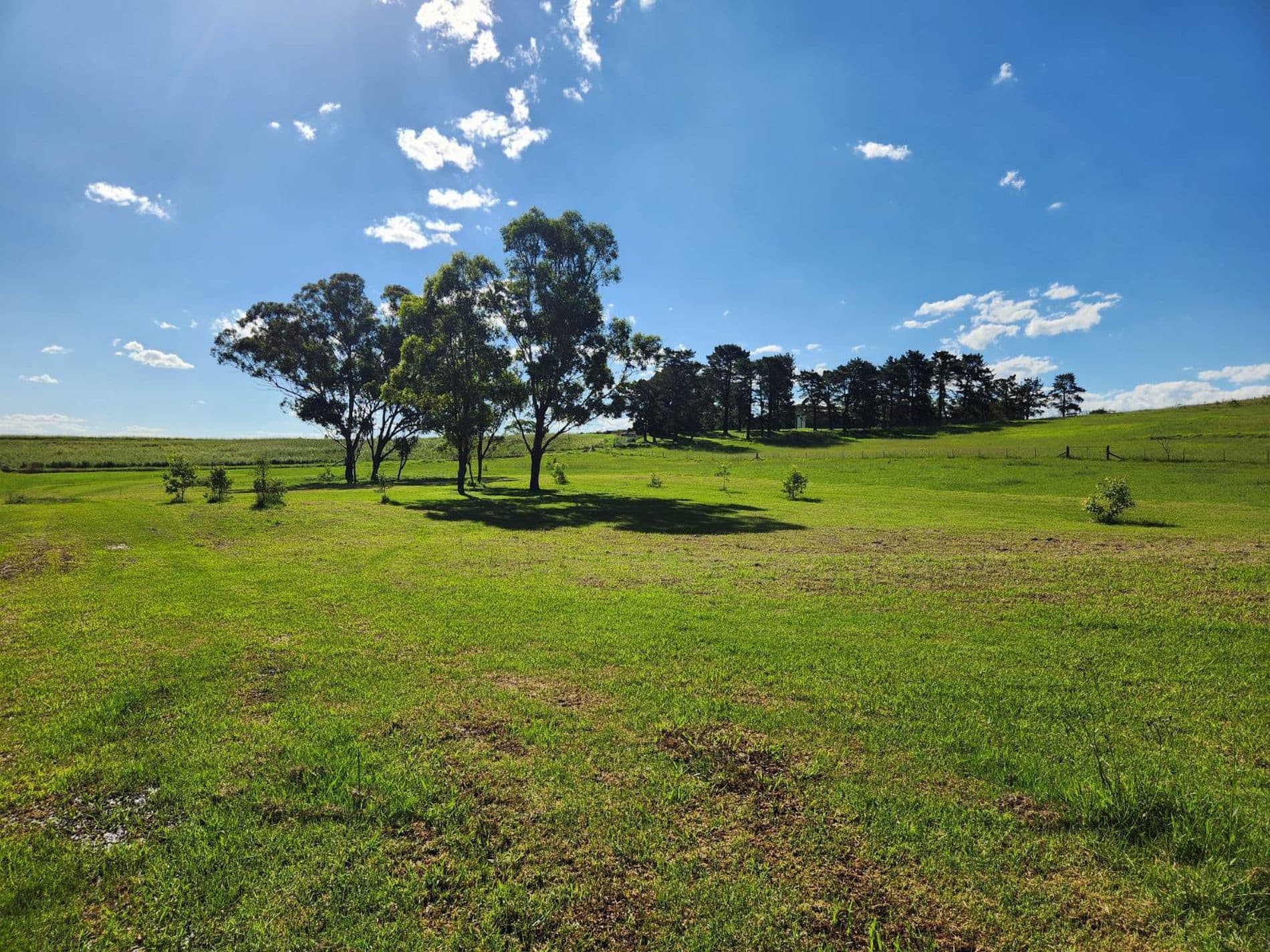 275-283 Wallgrove Road, Horsley, Horsley - Thumbnail 5