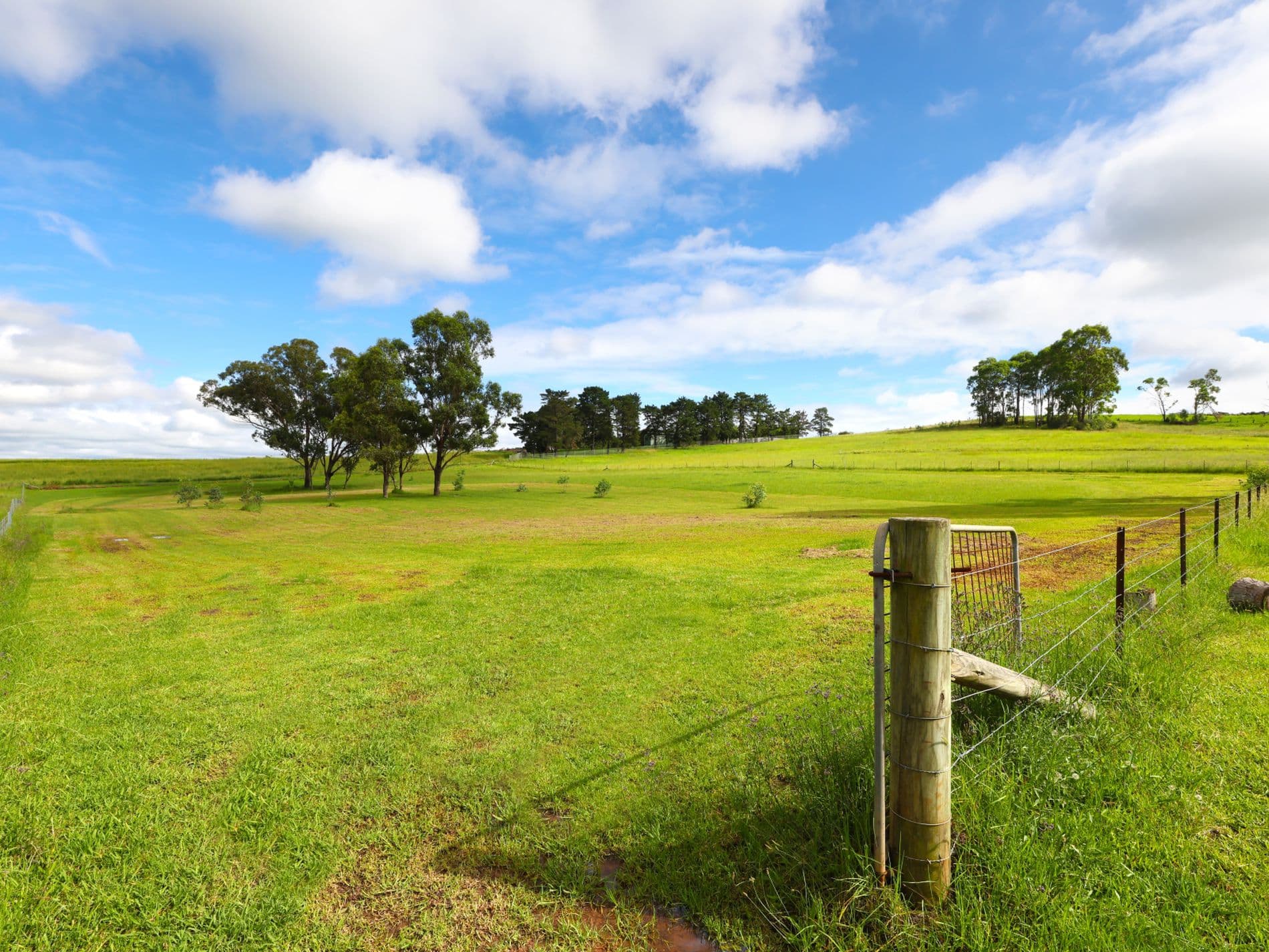 275-283 Wallgrove Road, Horsley, Horsley - Thumbnail 8