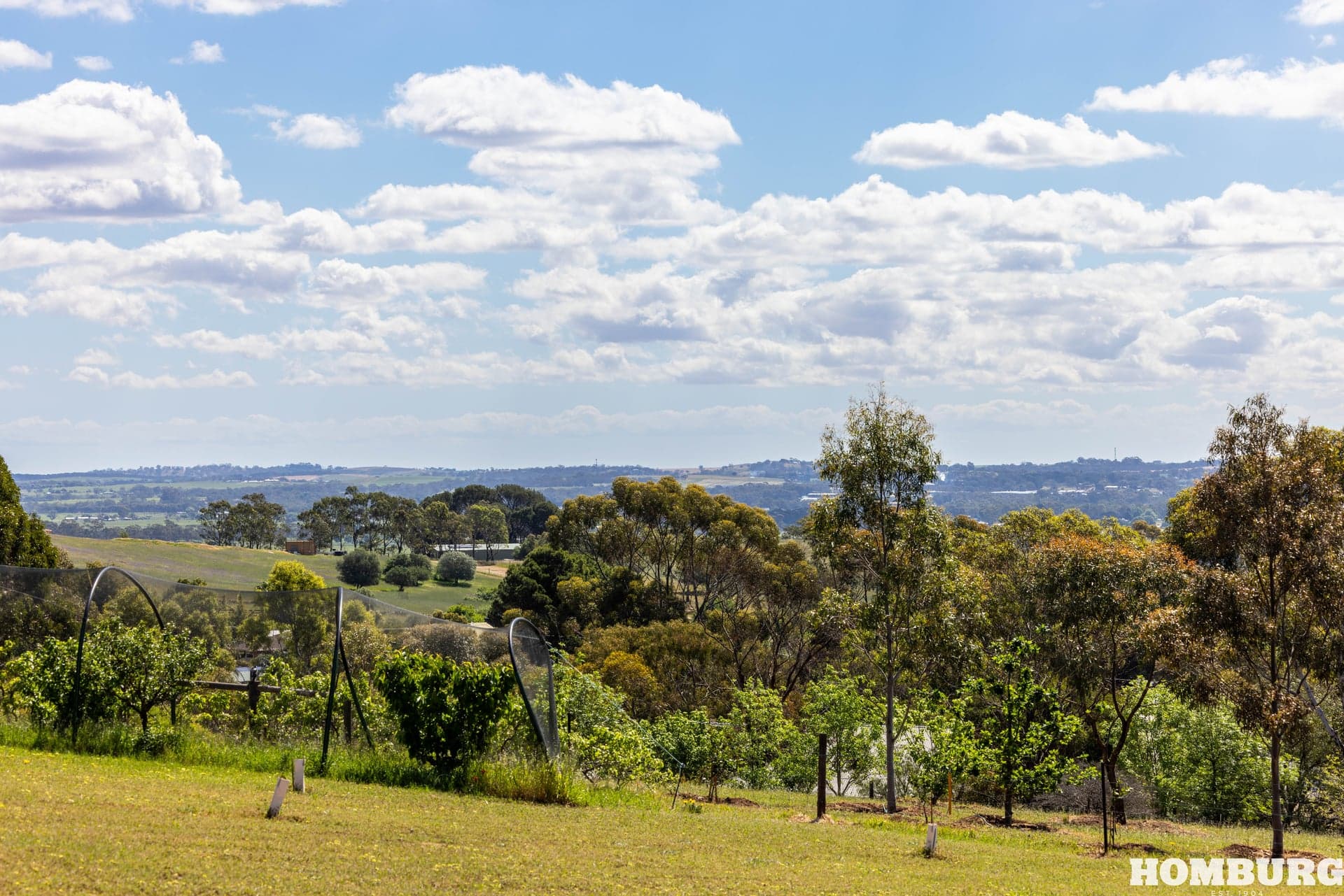 21 Rodda Drive, ANGASTON, Angaston - Thumbnail 4