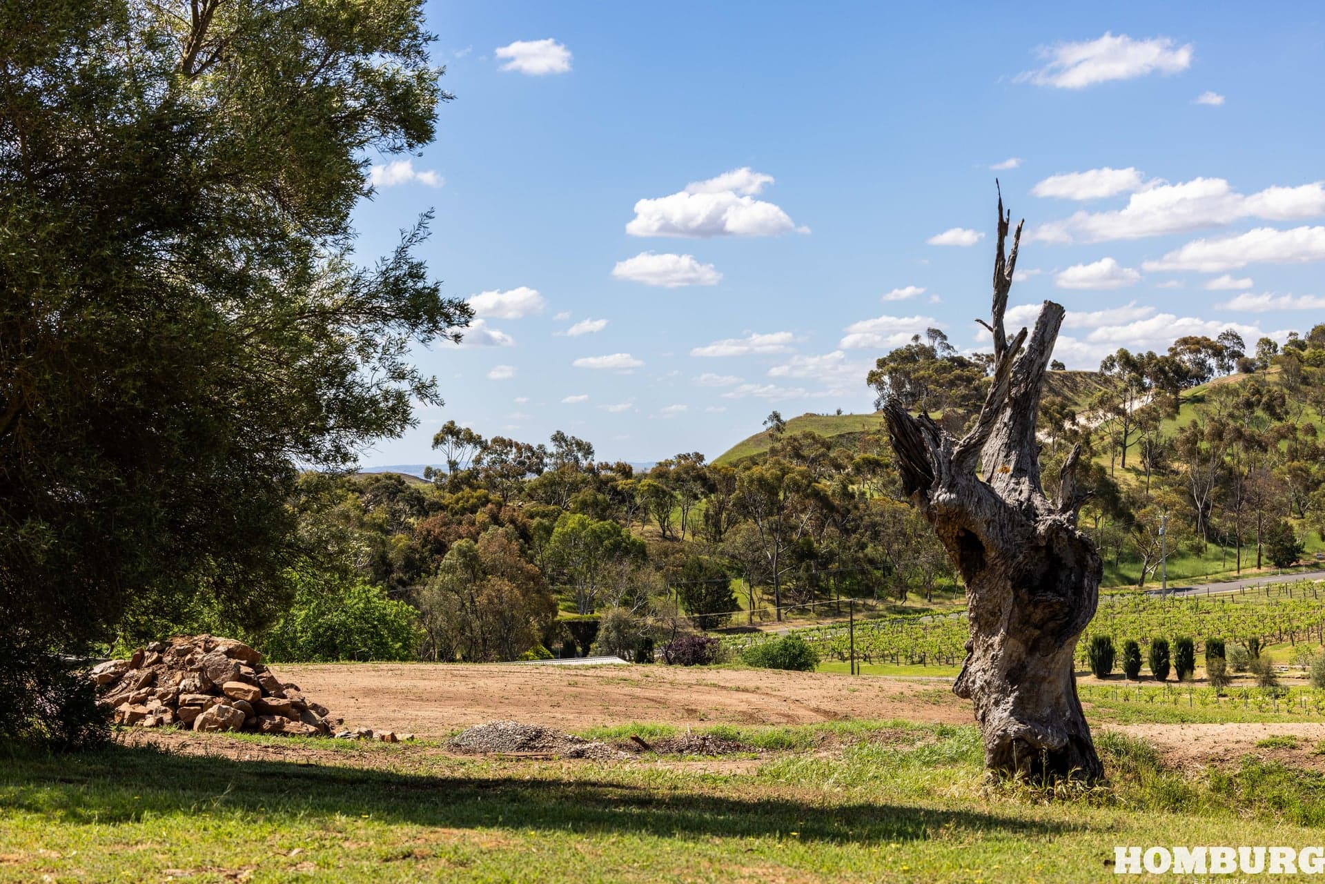 21 Rodda Drive, ANGASTON, Angaston - Thumbnail 6