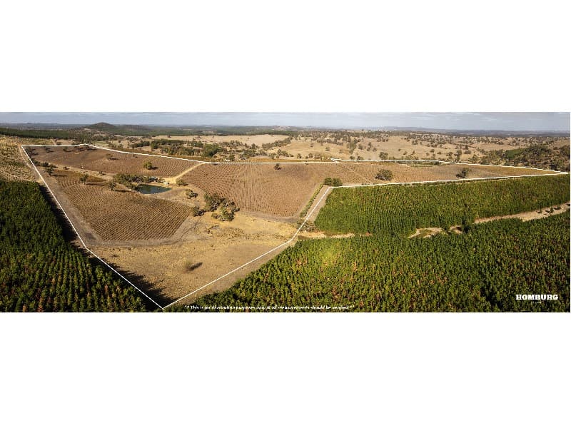 453 Springton Road, PEWSEY VALE, Pewsey Vale - Image 1