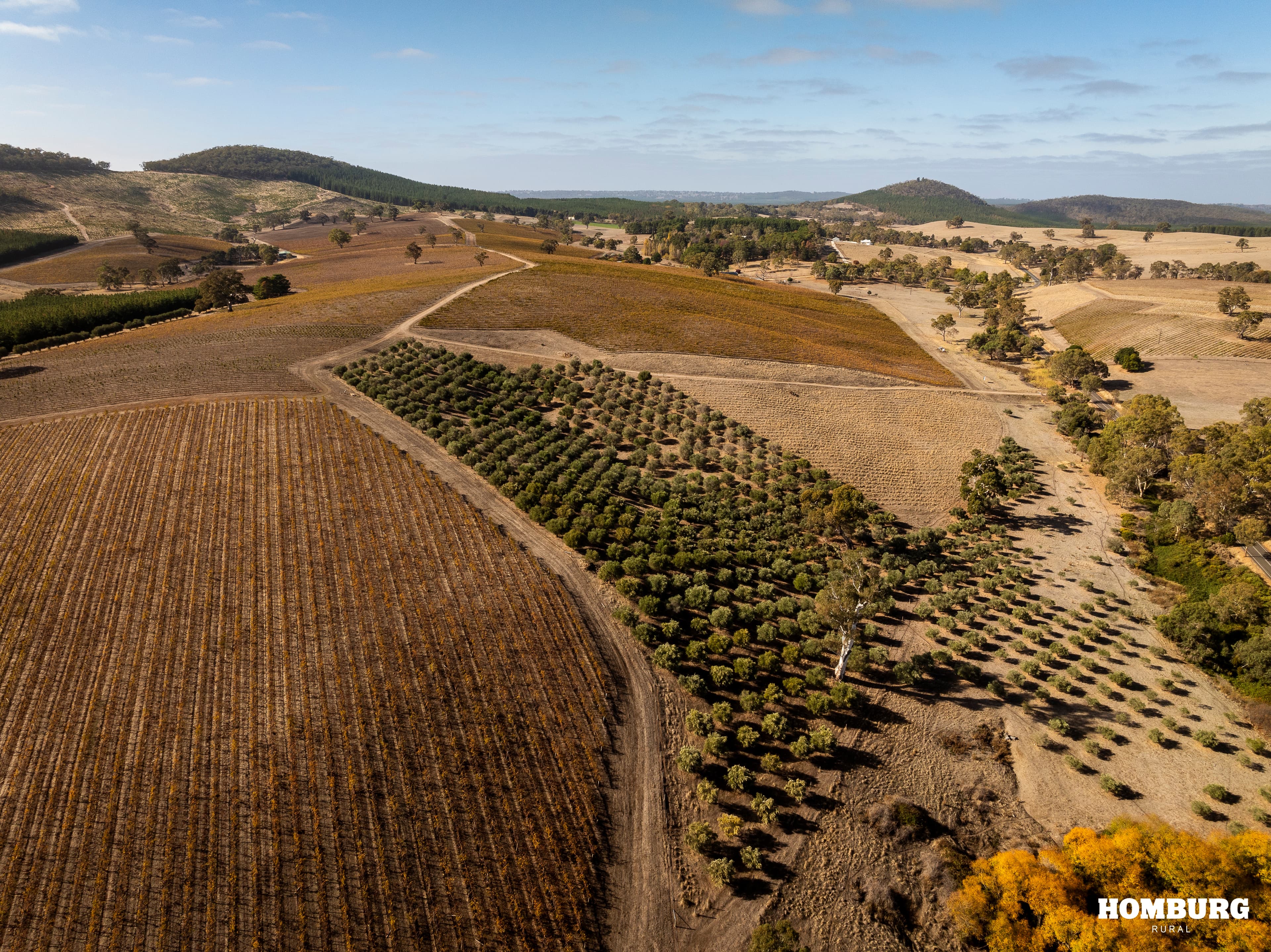 453 Springton Road, PEWSEY VALE, Pewsey Vale - Thumbnail 3