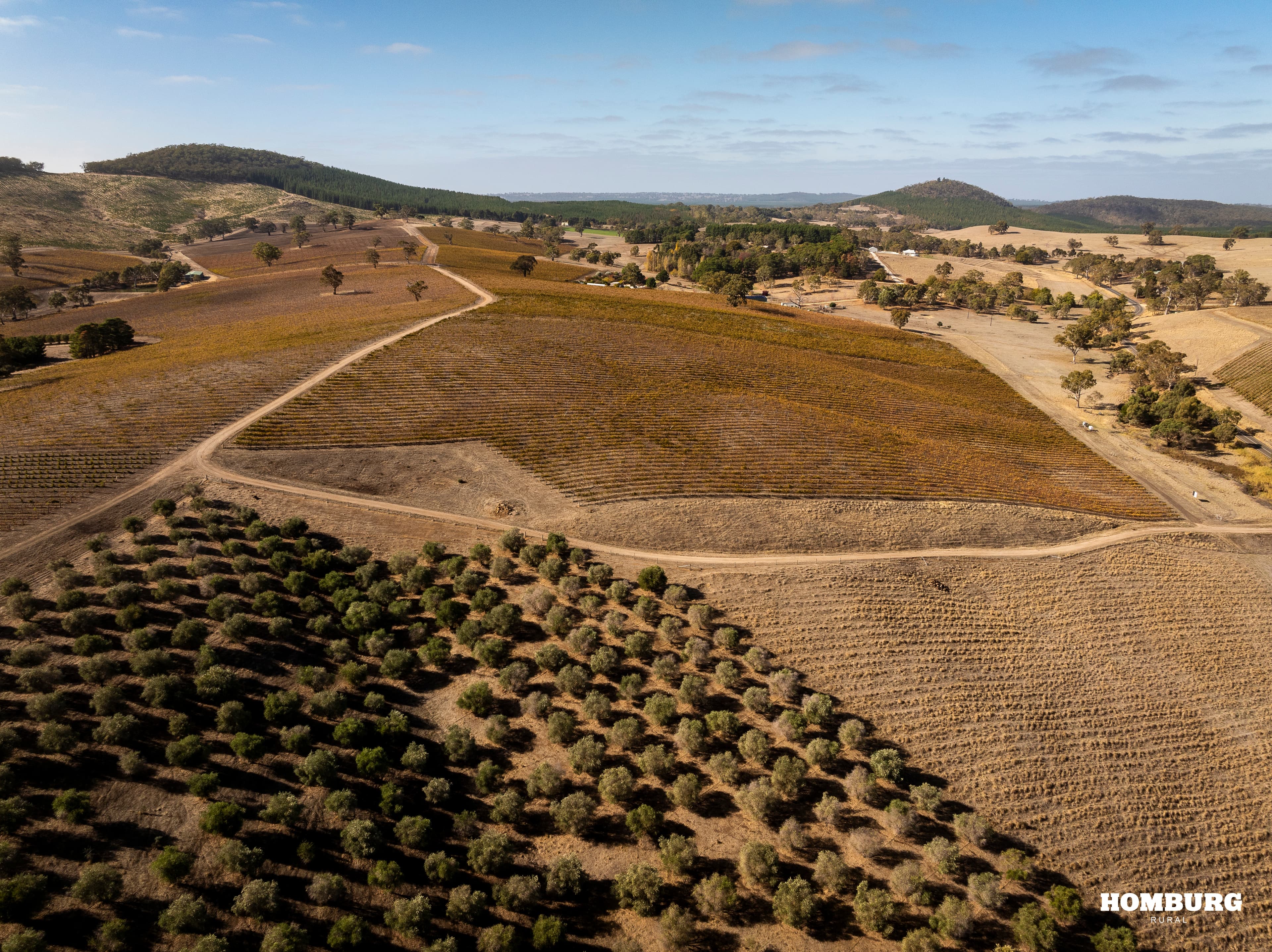 453 Springton Road, PEWSEY VALE, Pewsey Vale - Thumbnail 4