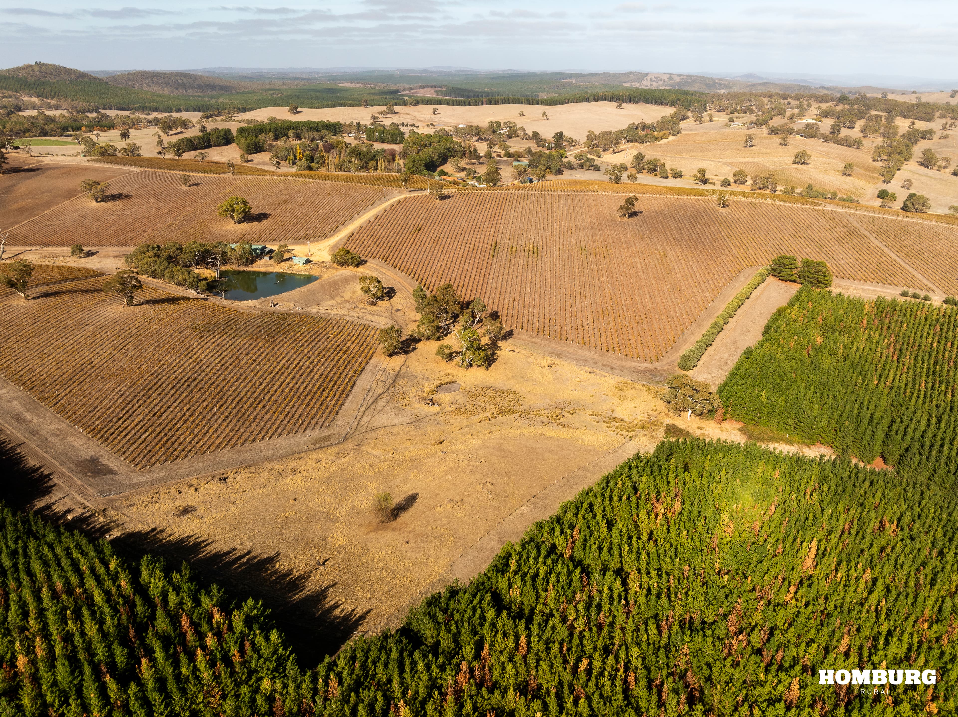 453 Springton Road, PEWSEY VALE, Pewsey Vale - Thumbnail 5