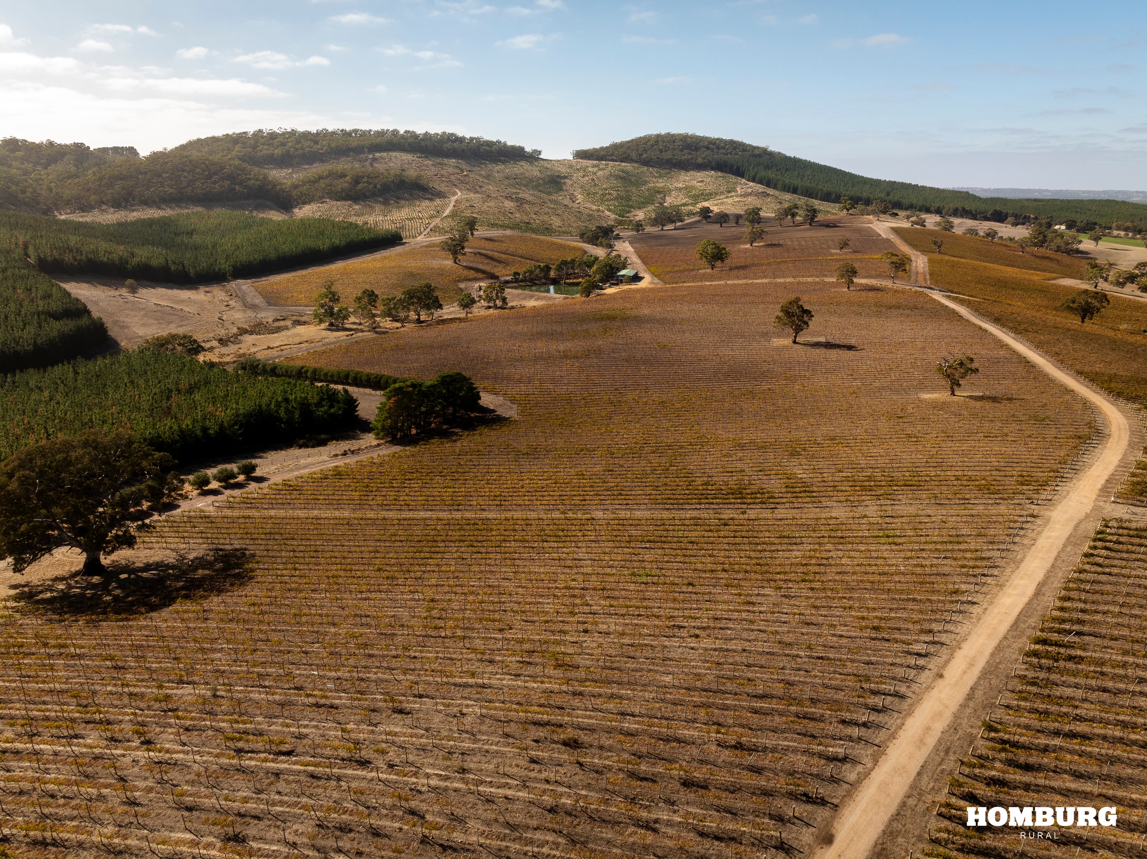 453 Springton Road, PEWSEY VALE, Pewsey Vale - Thumbnail 6